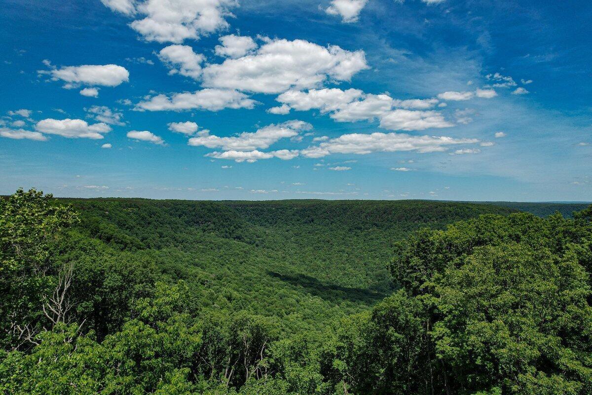 0 High Point Lane, 89