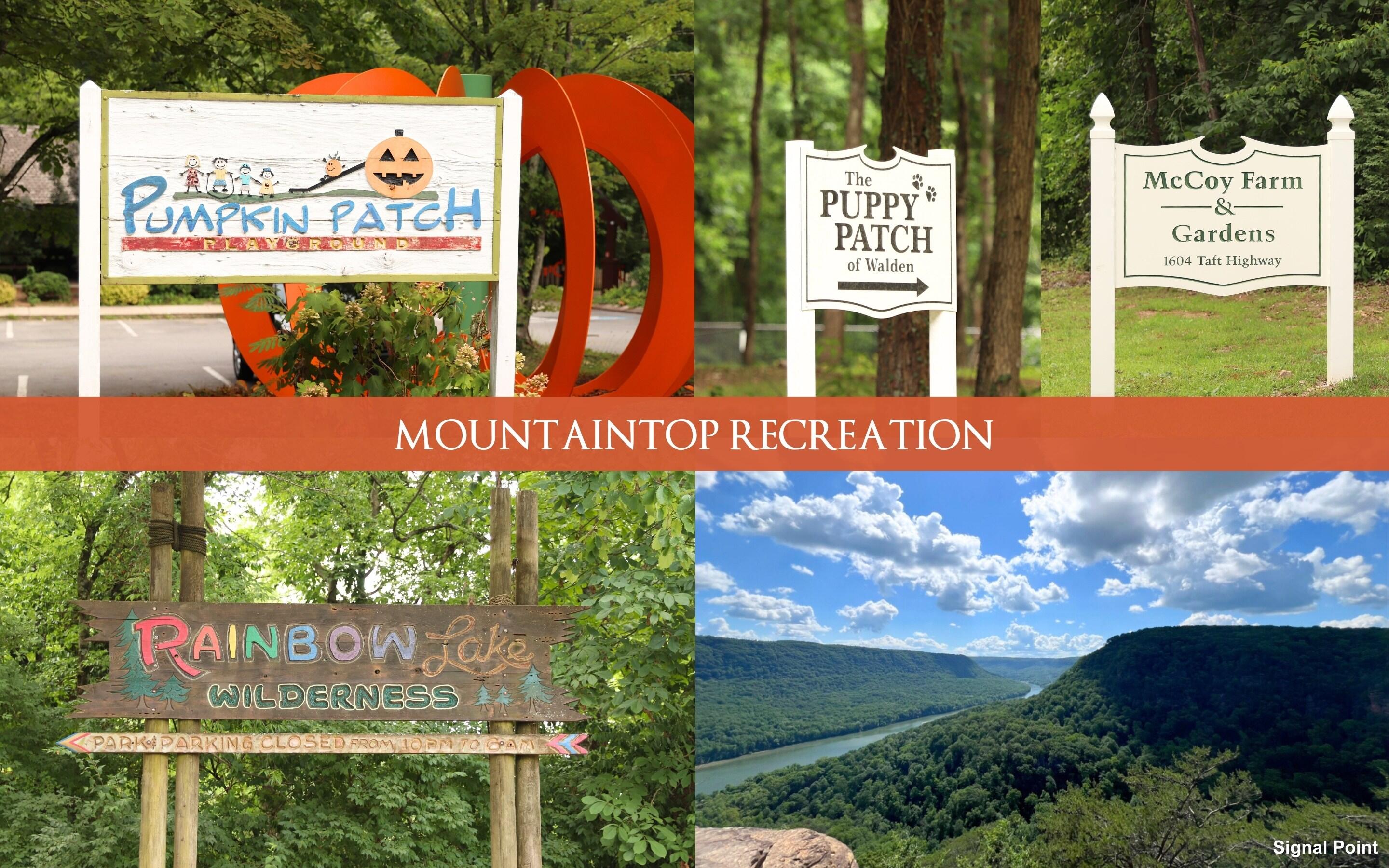 12 Mountain Orchard Path