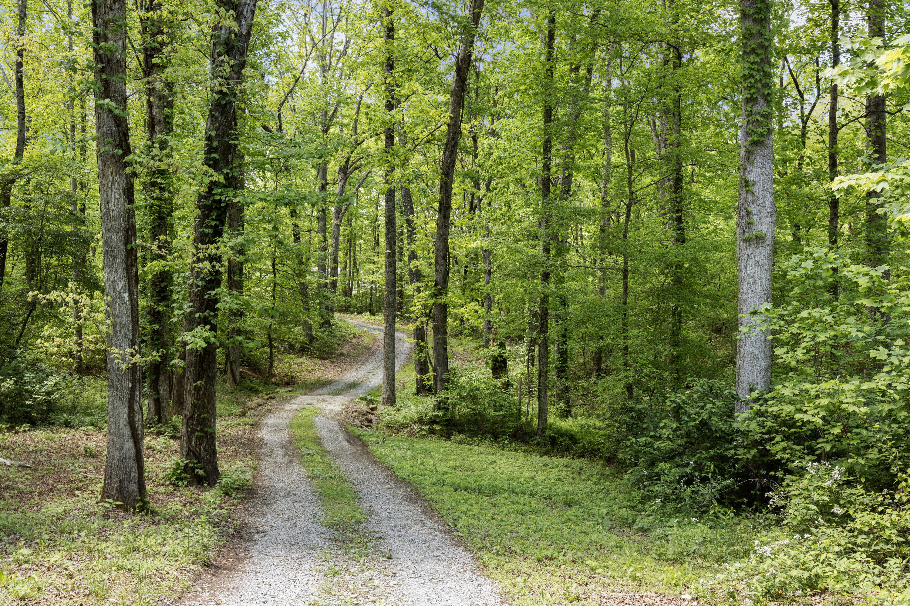 201 County Line Road