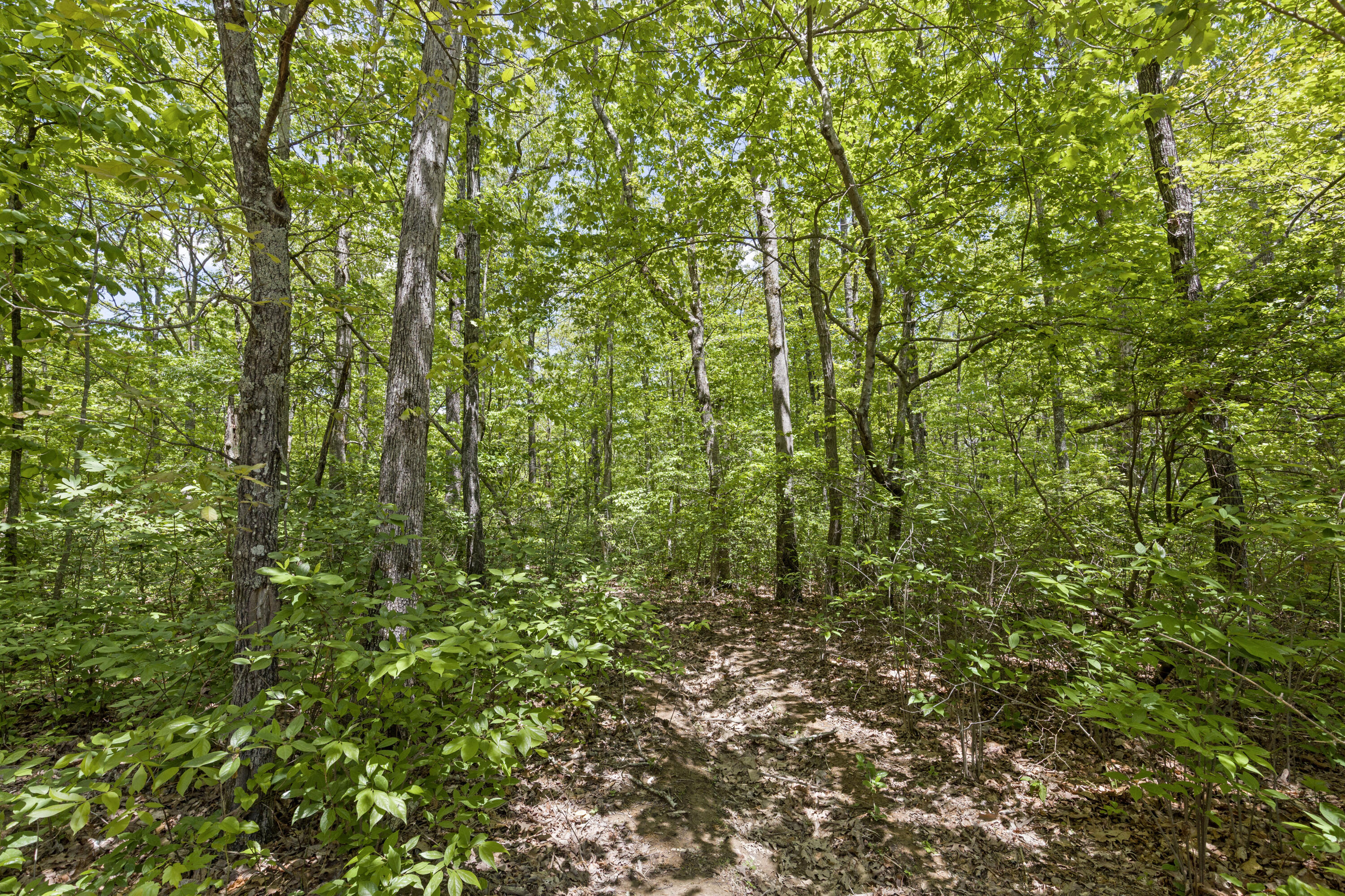 201 County Line Road