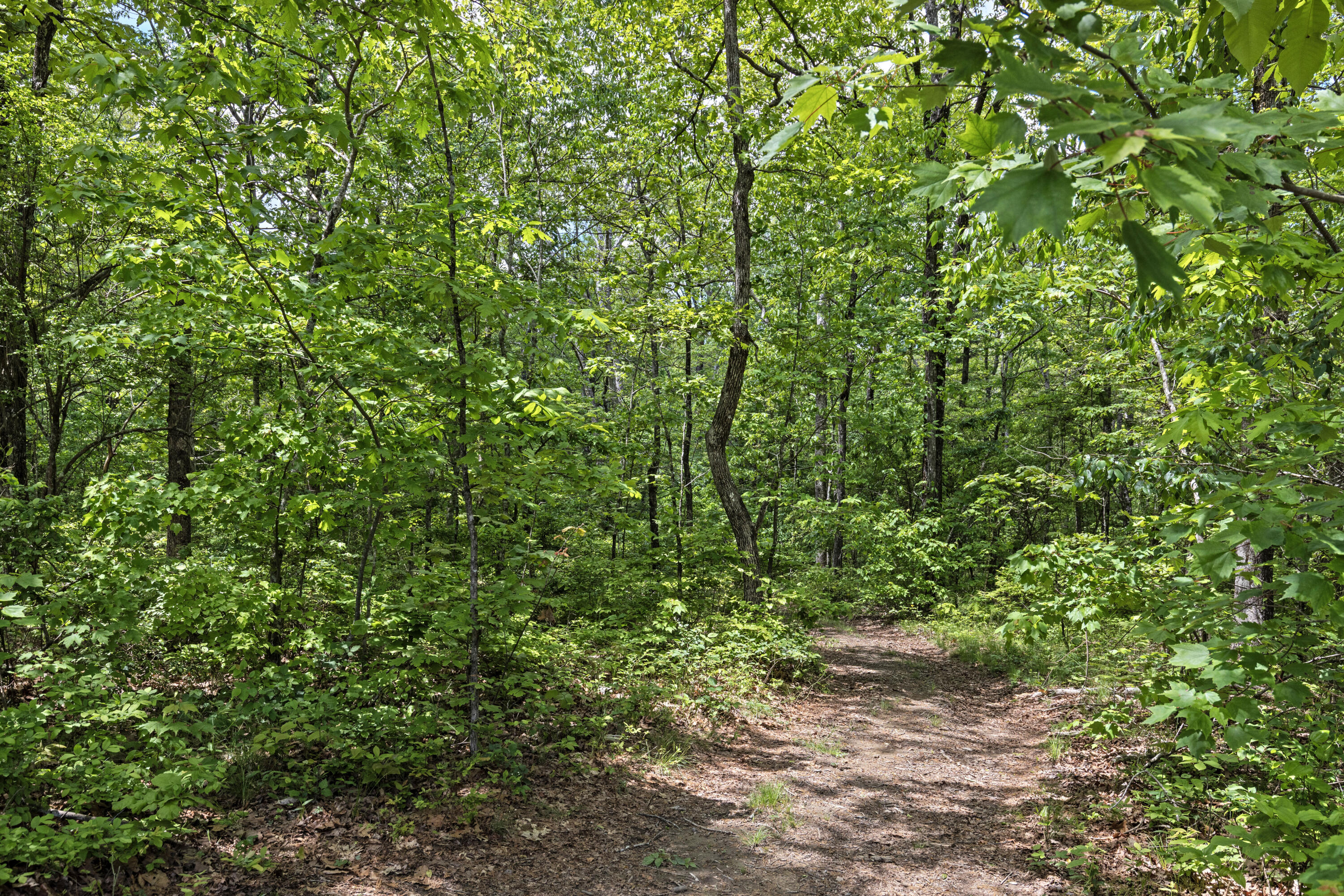 201 County Line Road