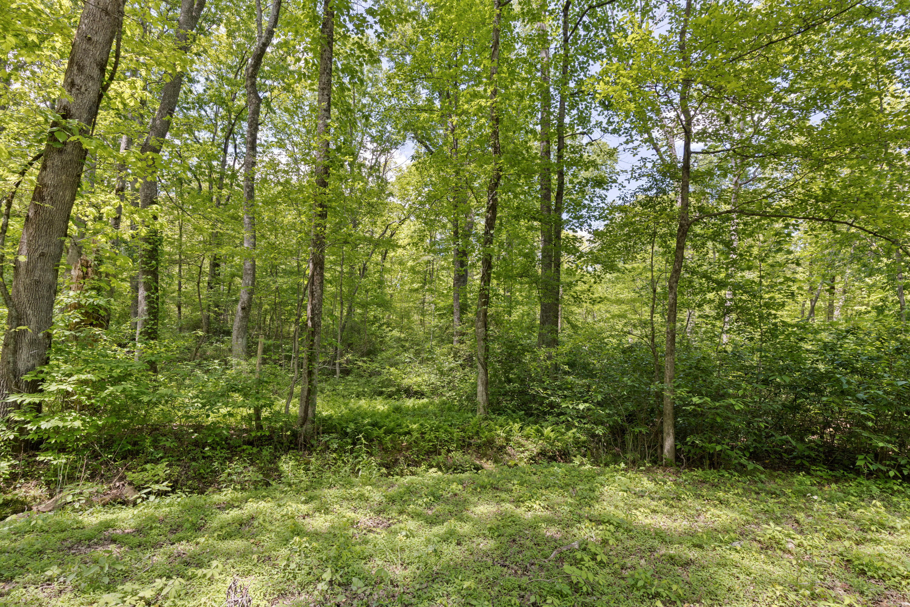 201 County Line Road