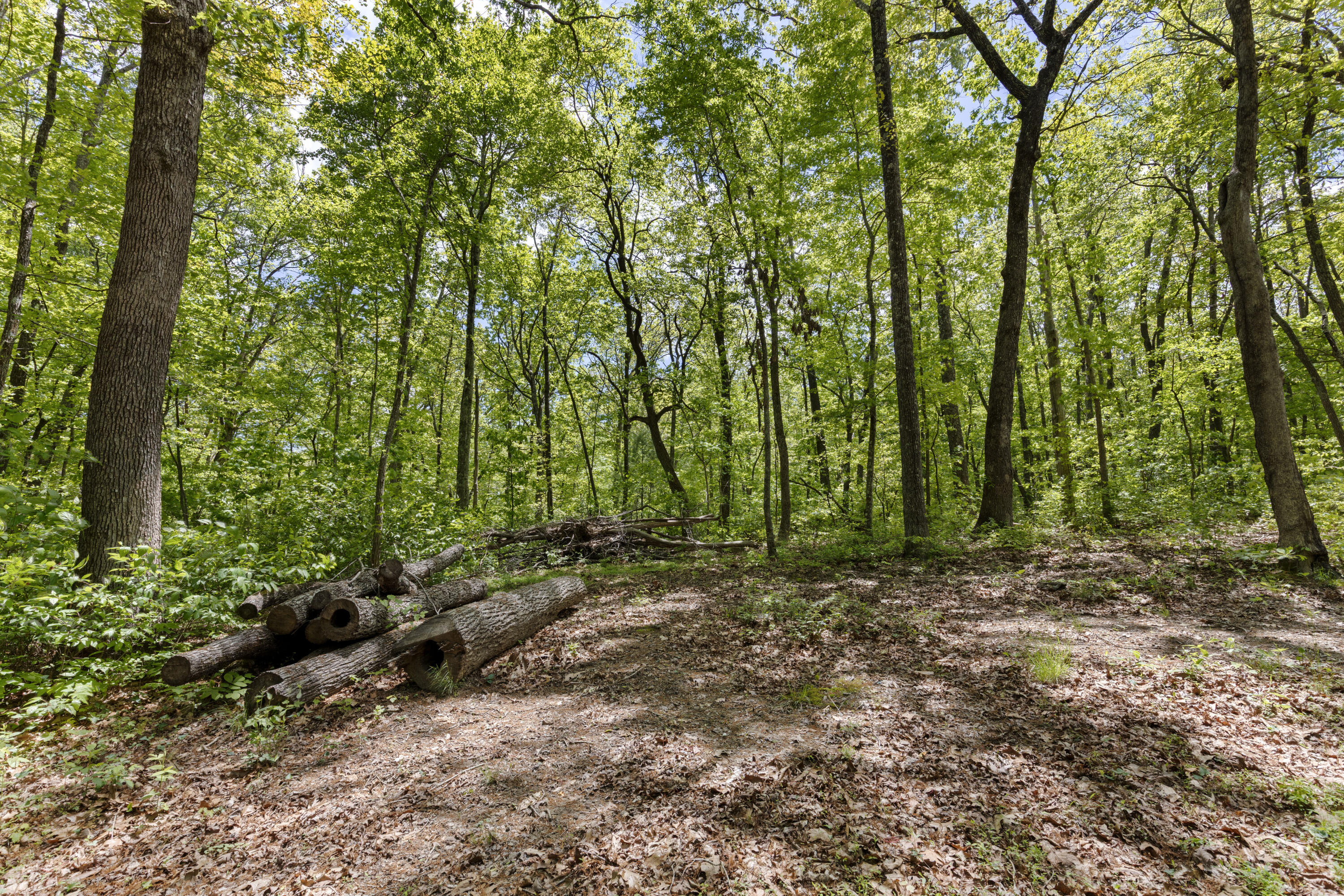 201 County Line Road