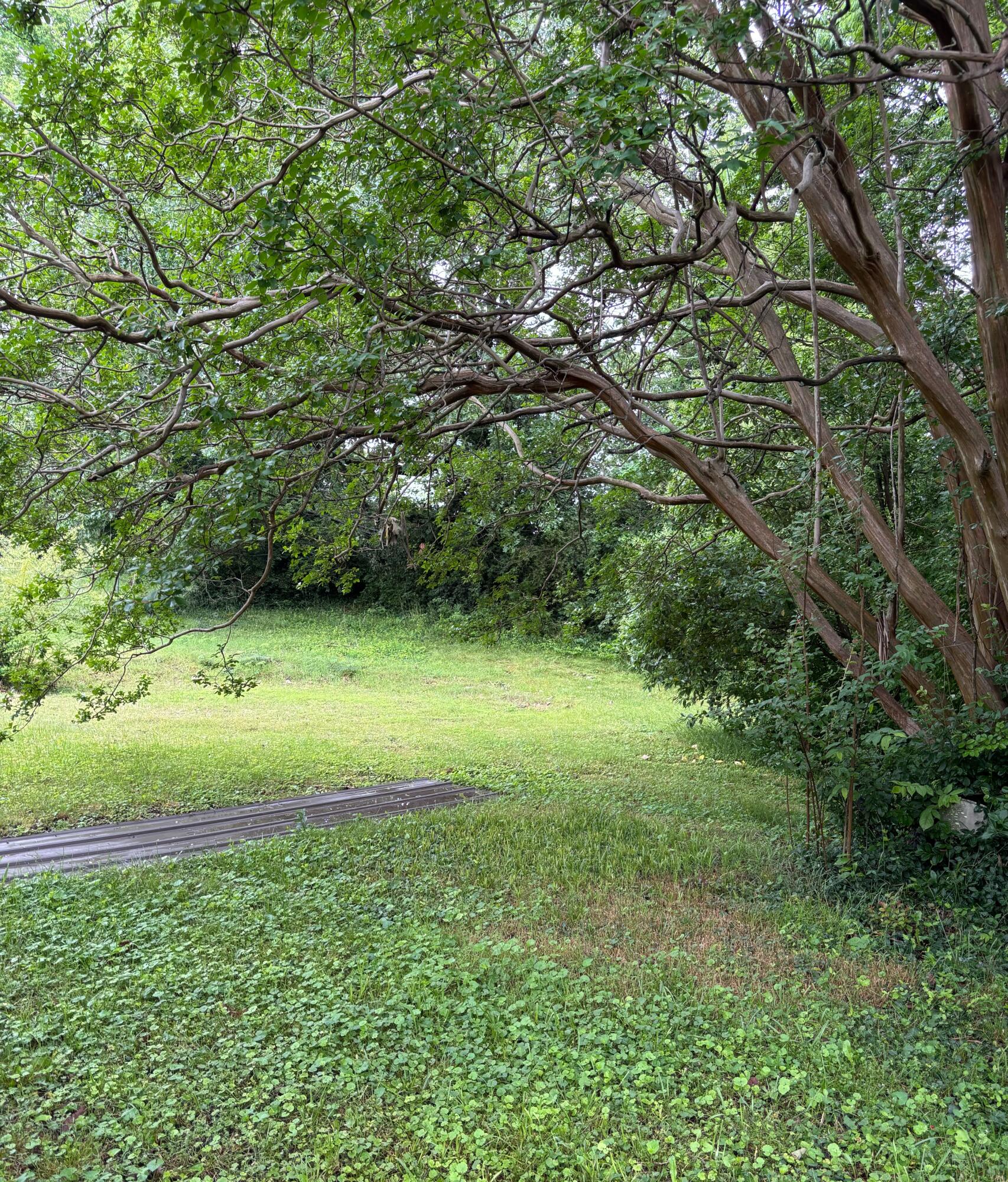 4033 Wonder Drive
