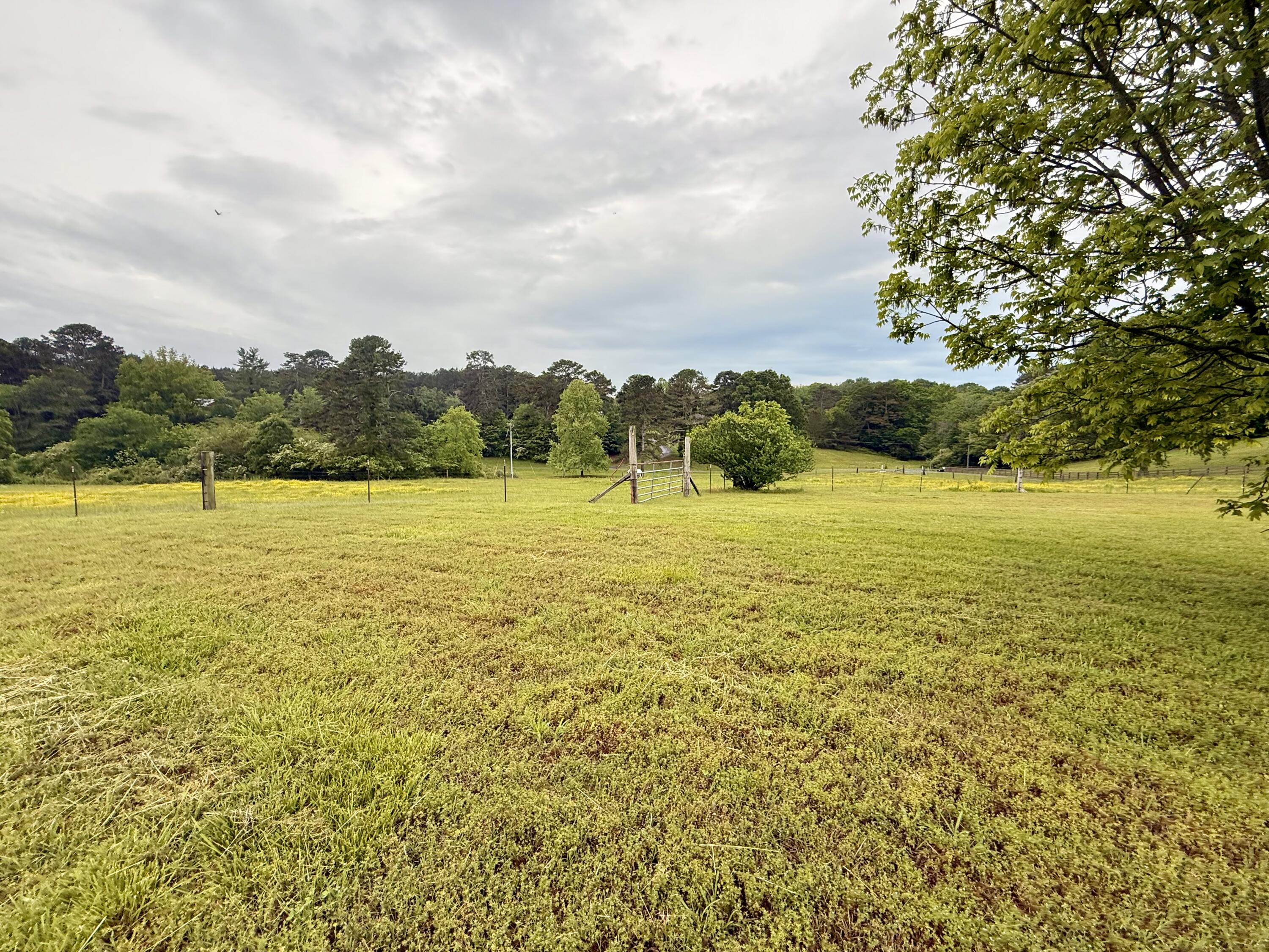 667 Chandler Road