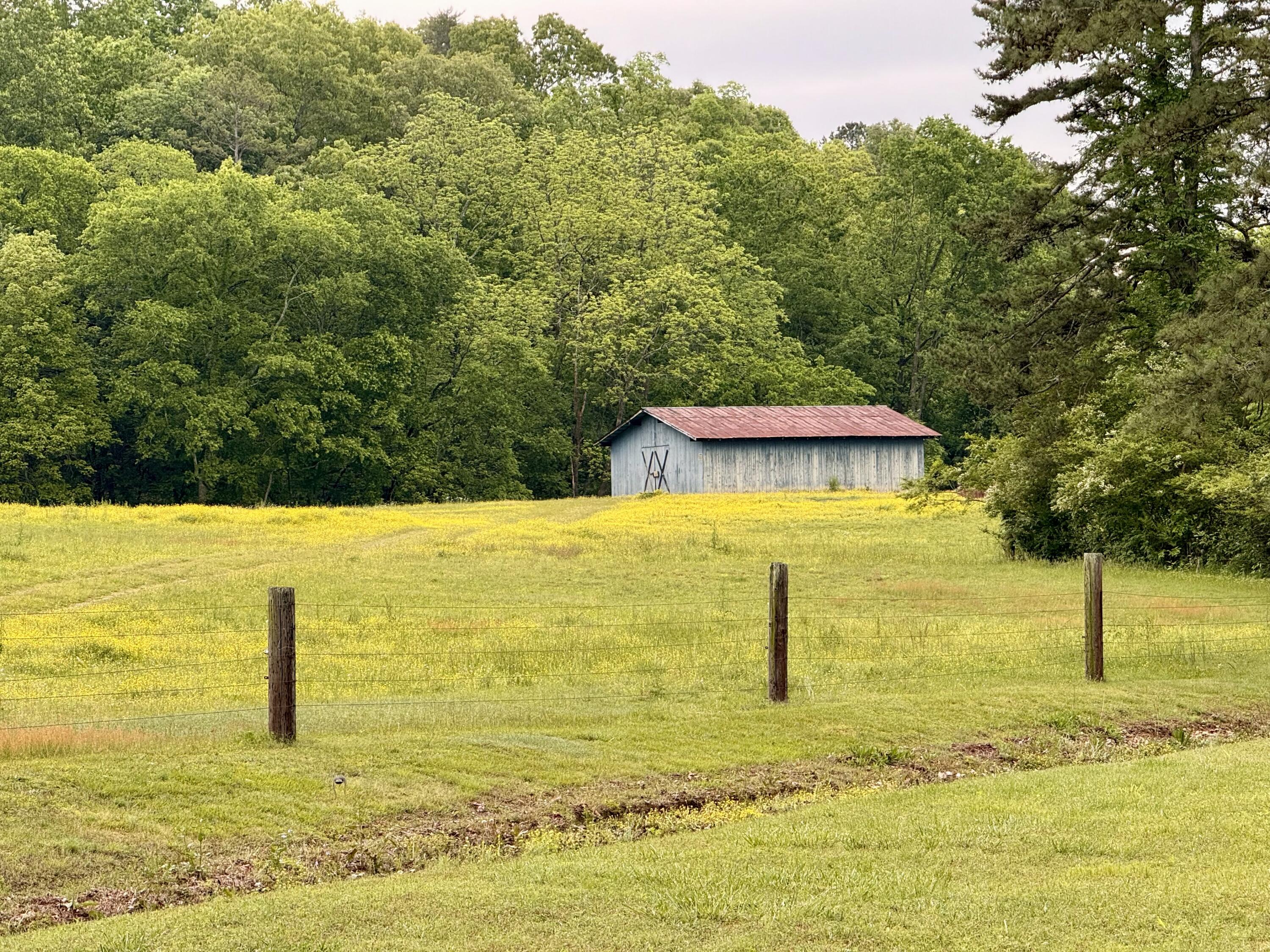 667 Chandler Road