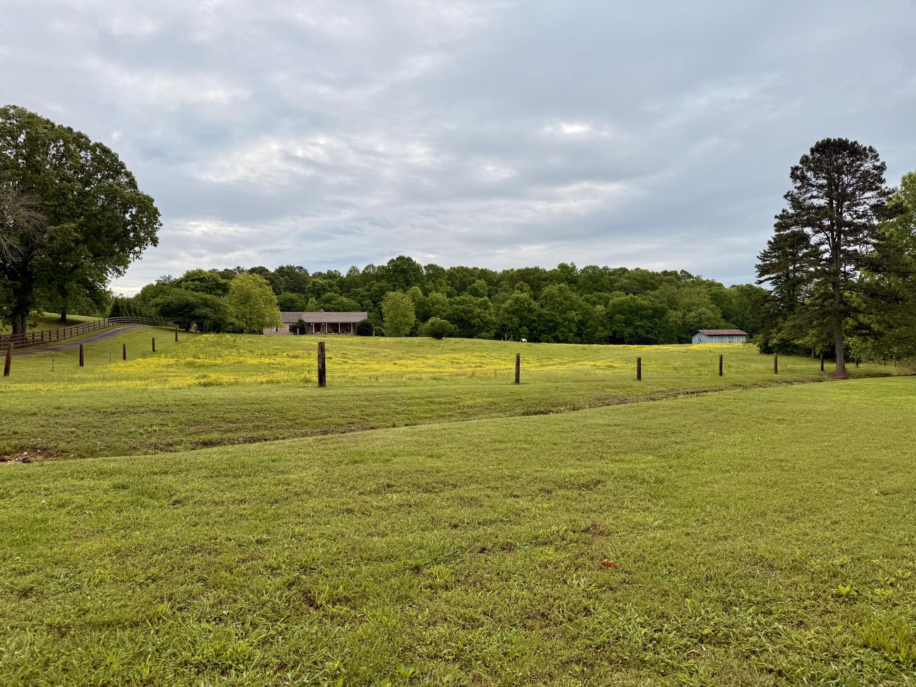667 Chandler Road