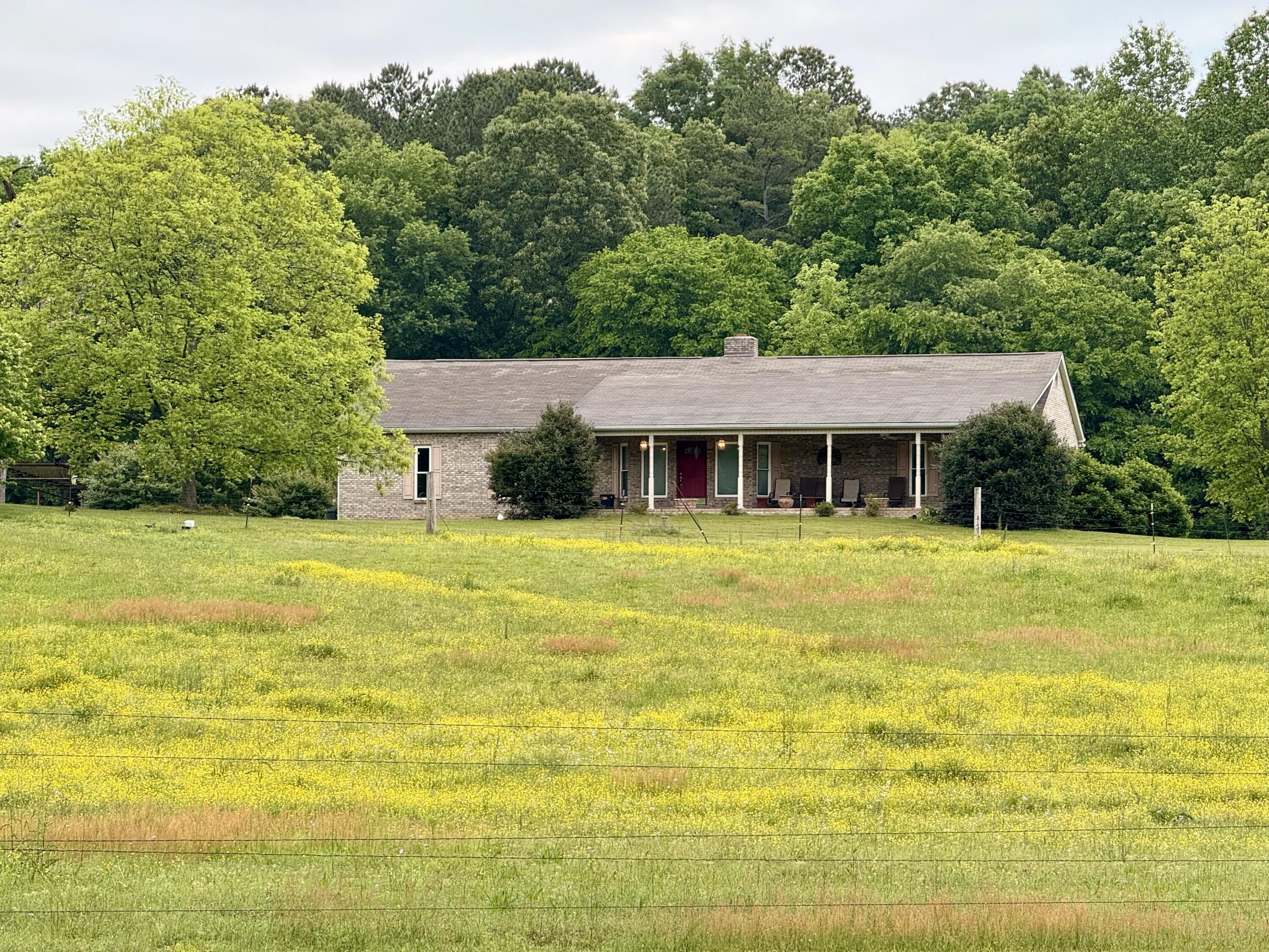 667 Chandler Road