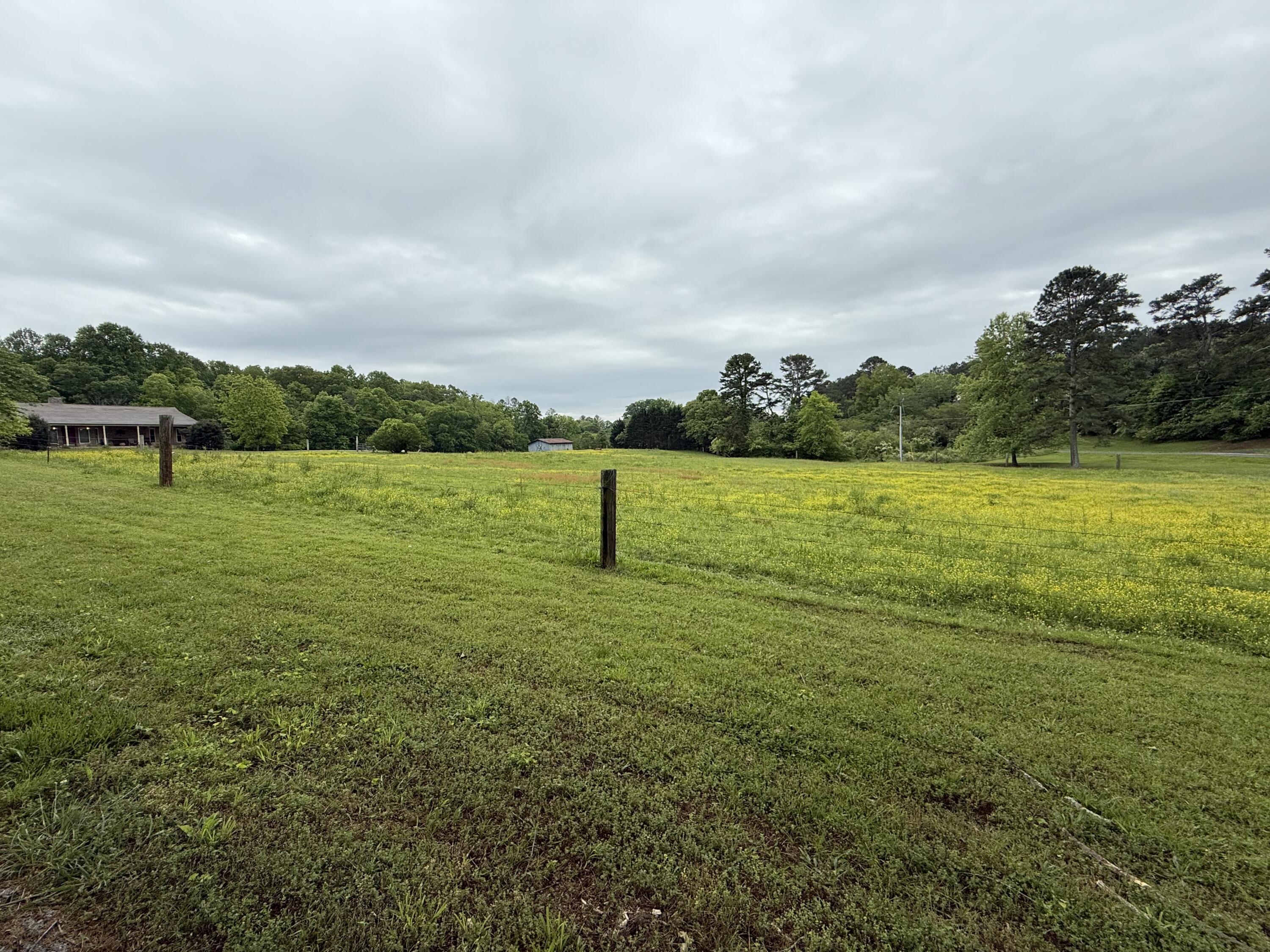 667 Chandler Road