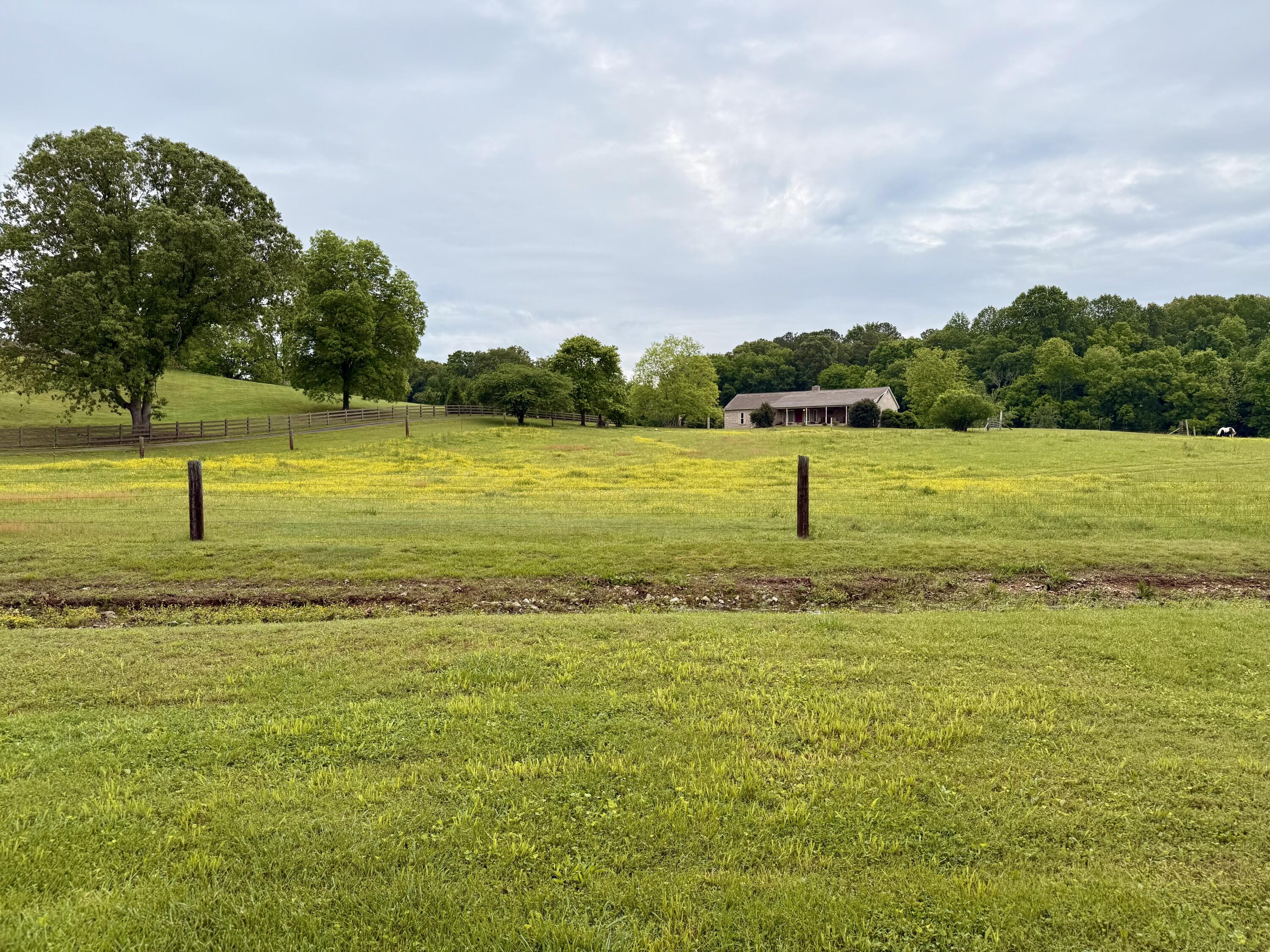 667 Chandler Road