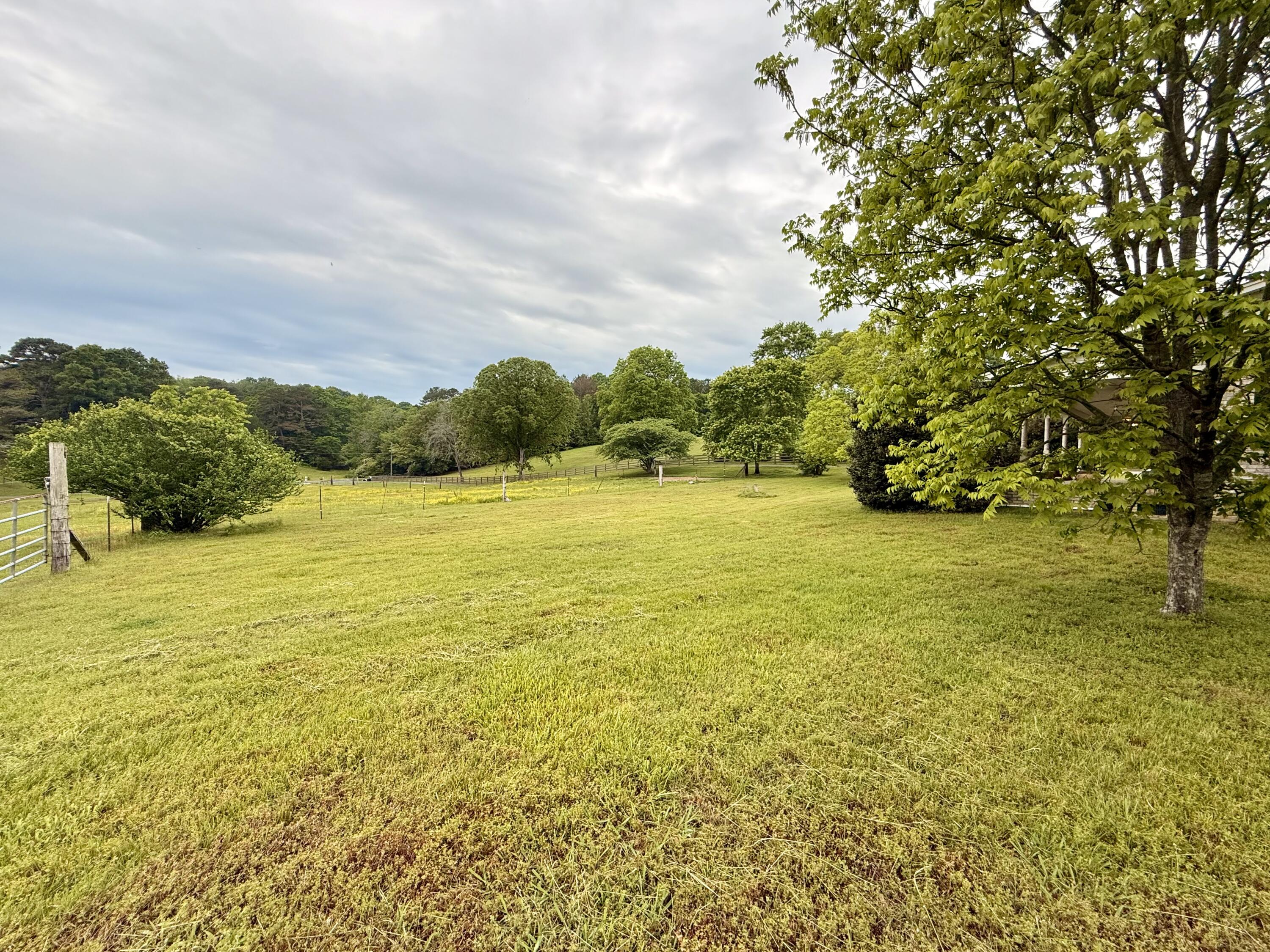667 Chandler Road