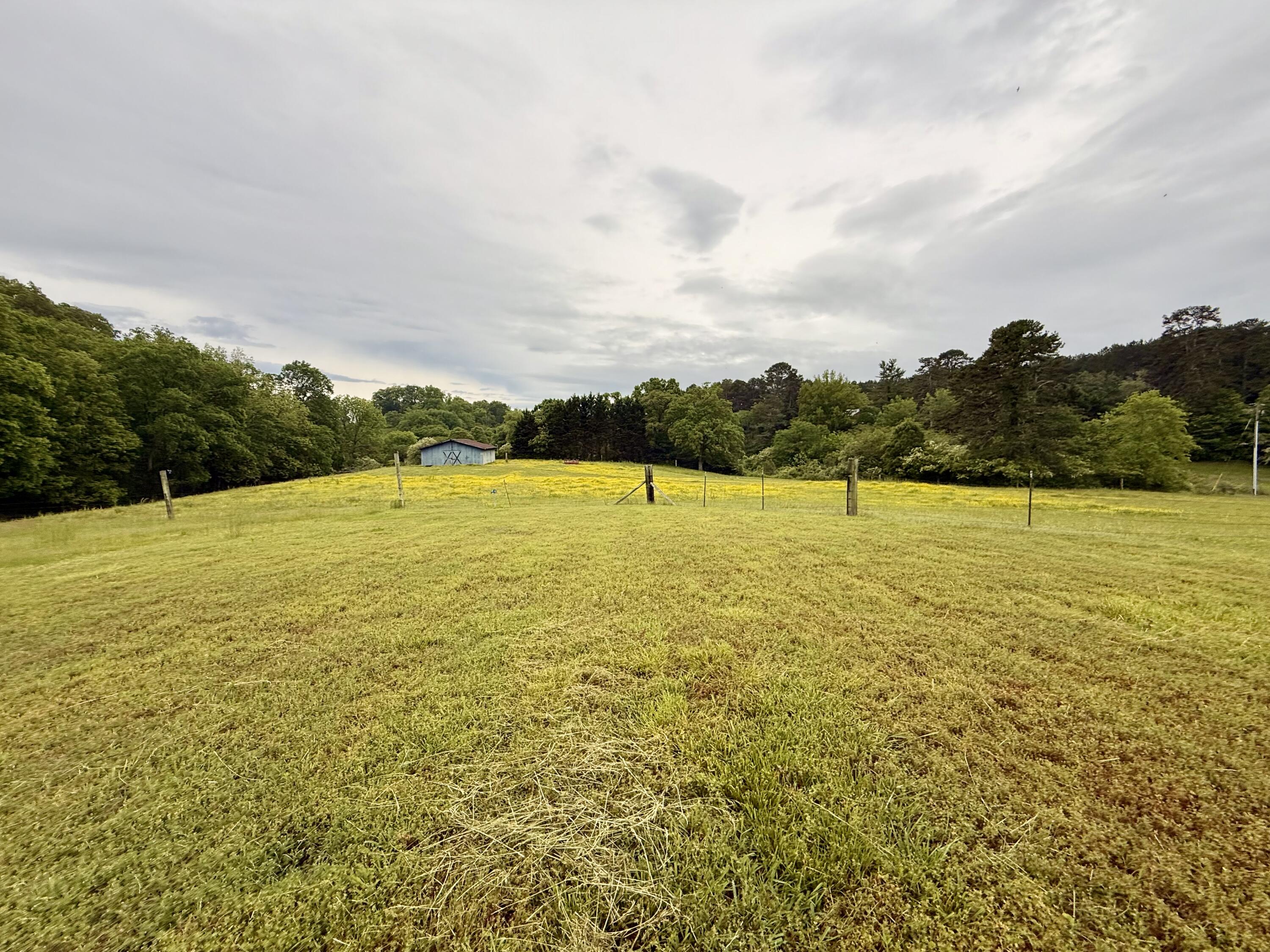667 Chandler Road