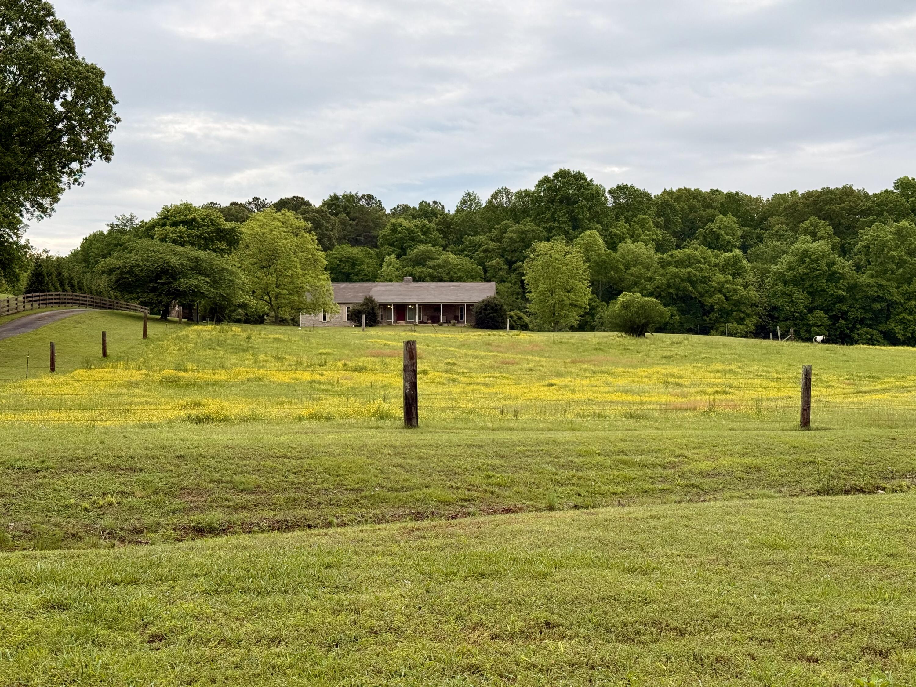 667 Chandler Road