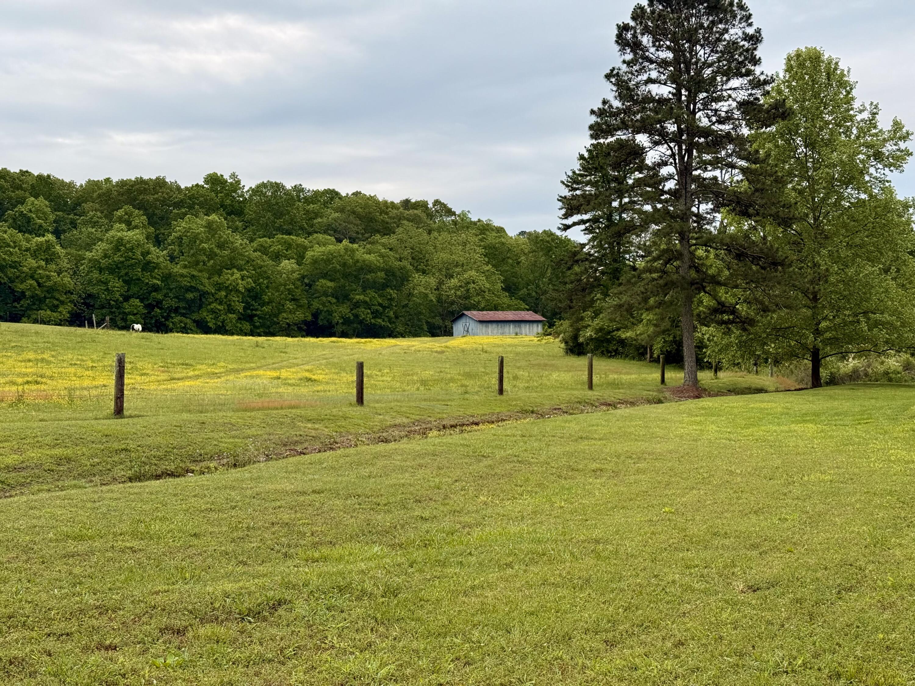 667 Chandler Road