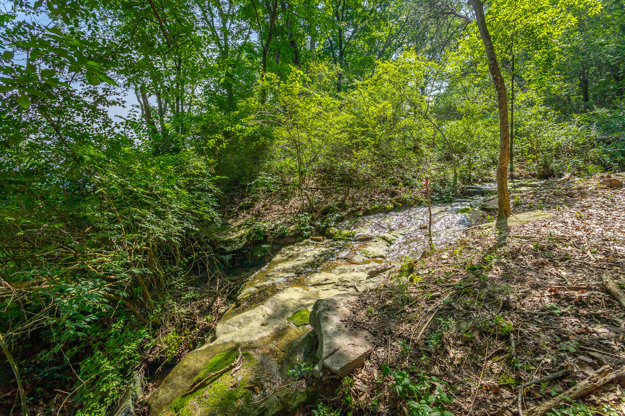 1613 Fairy Dell Trail