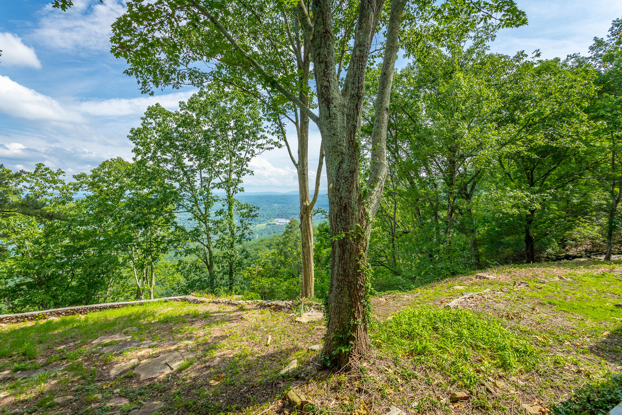 1613 Fairy Dell Trail