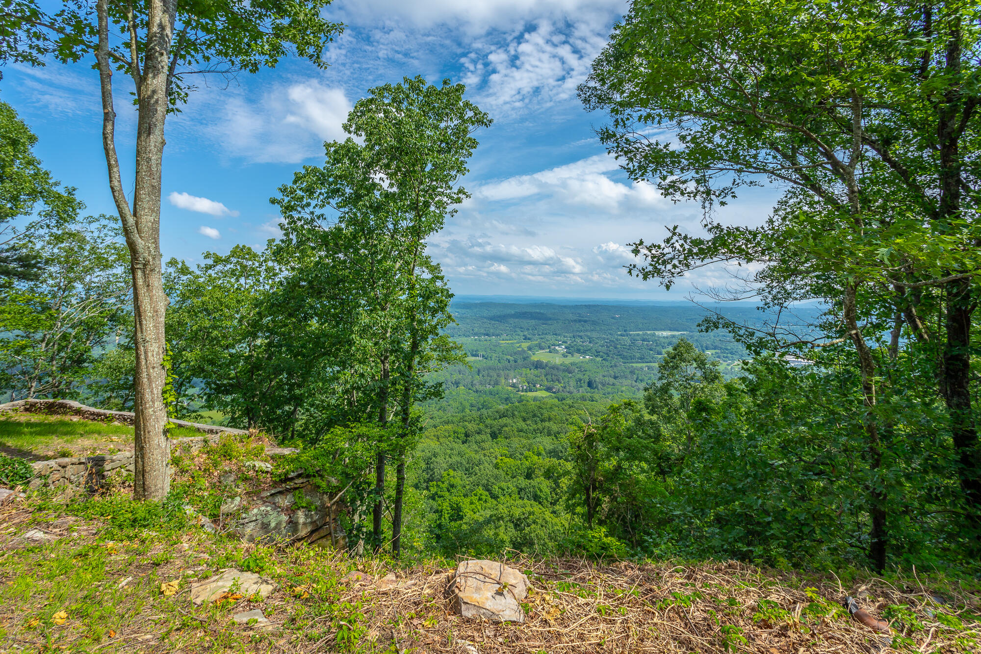 1613 Fairy Dell Trail