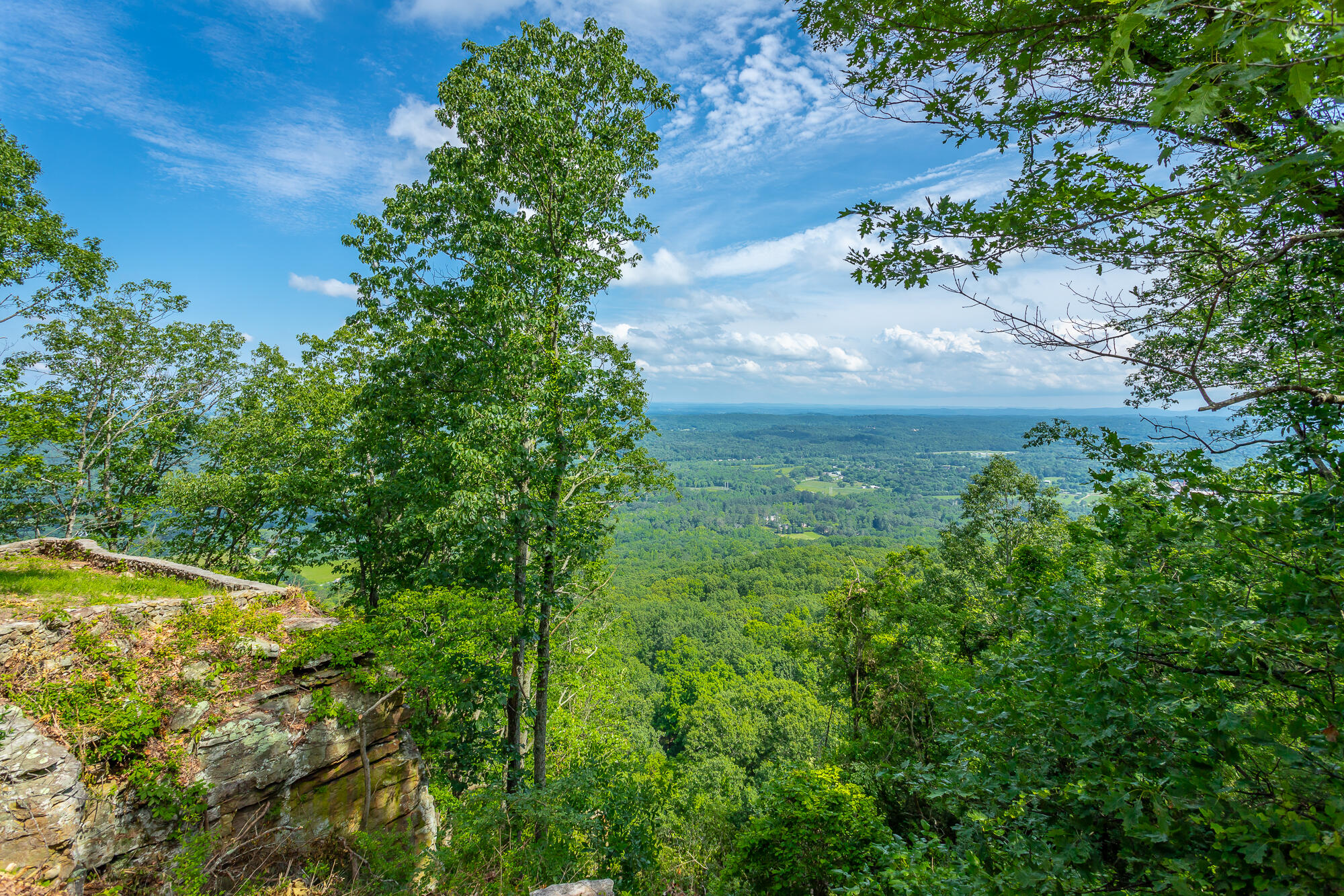 1613 Fairy Dell Trail