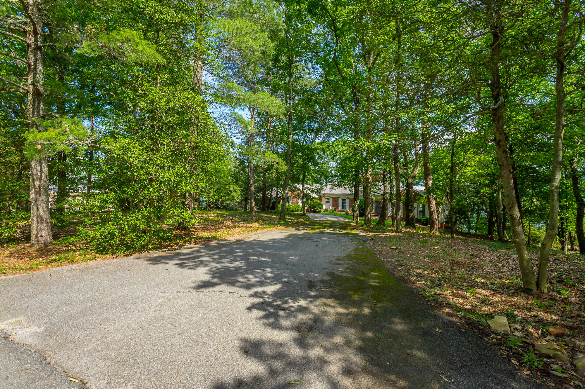 1613 Fairy Dell Trail