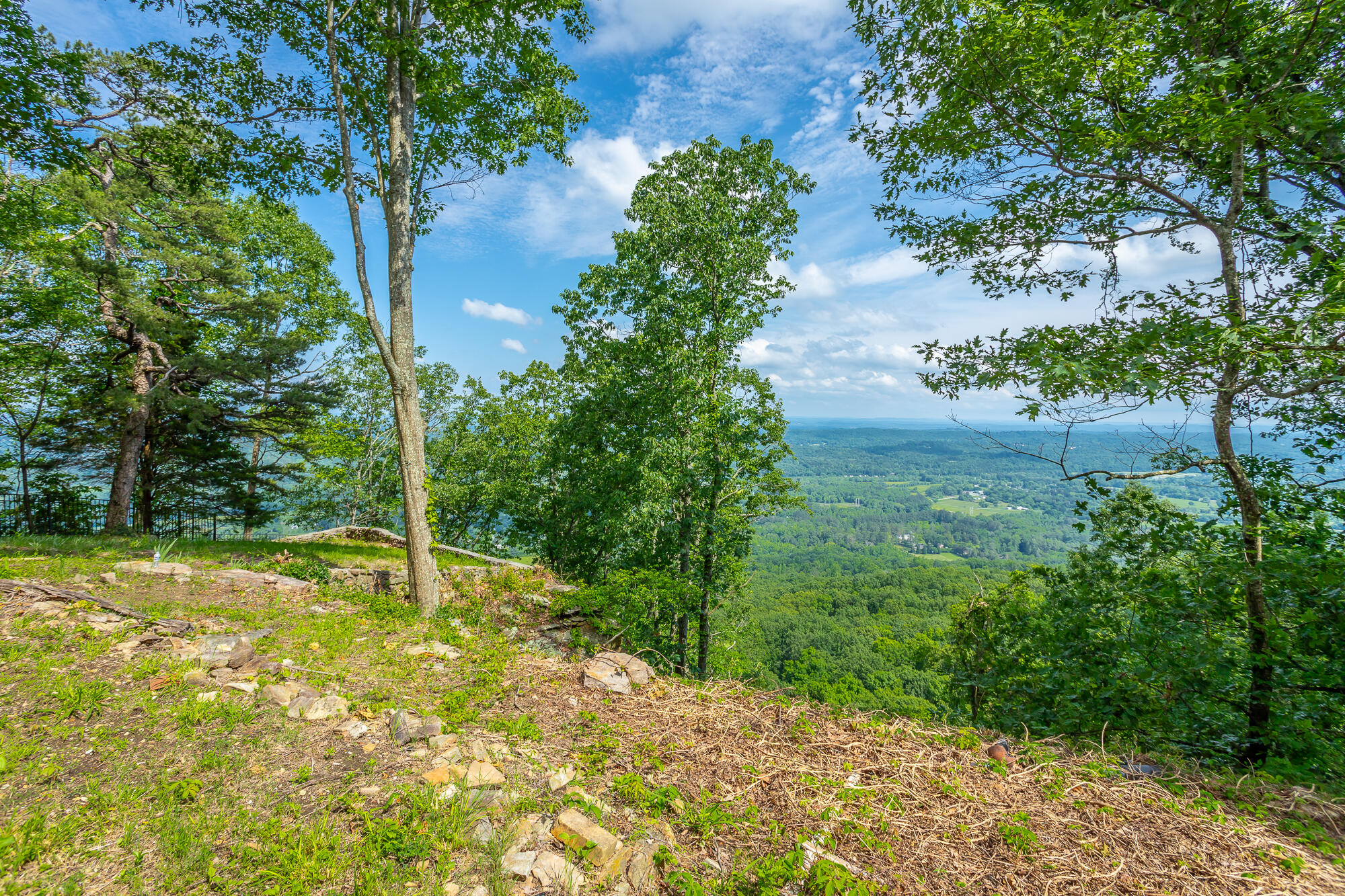 1613 Fairy Dell Trail