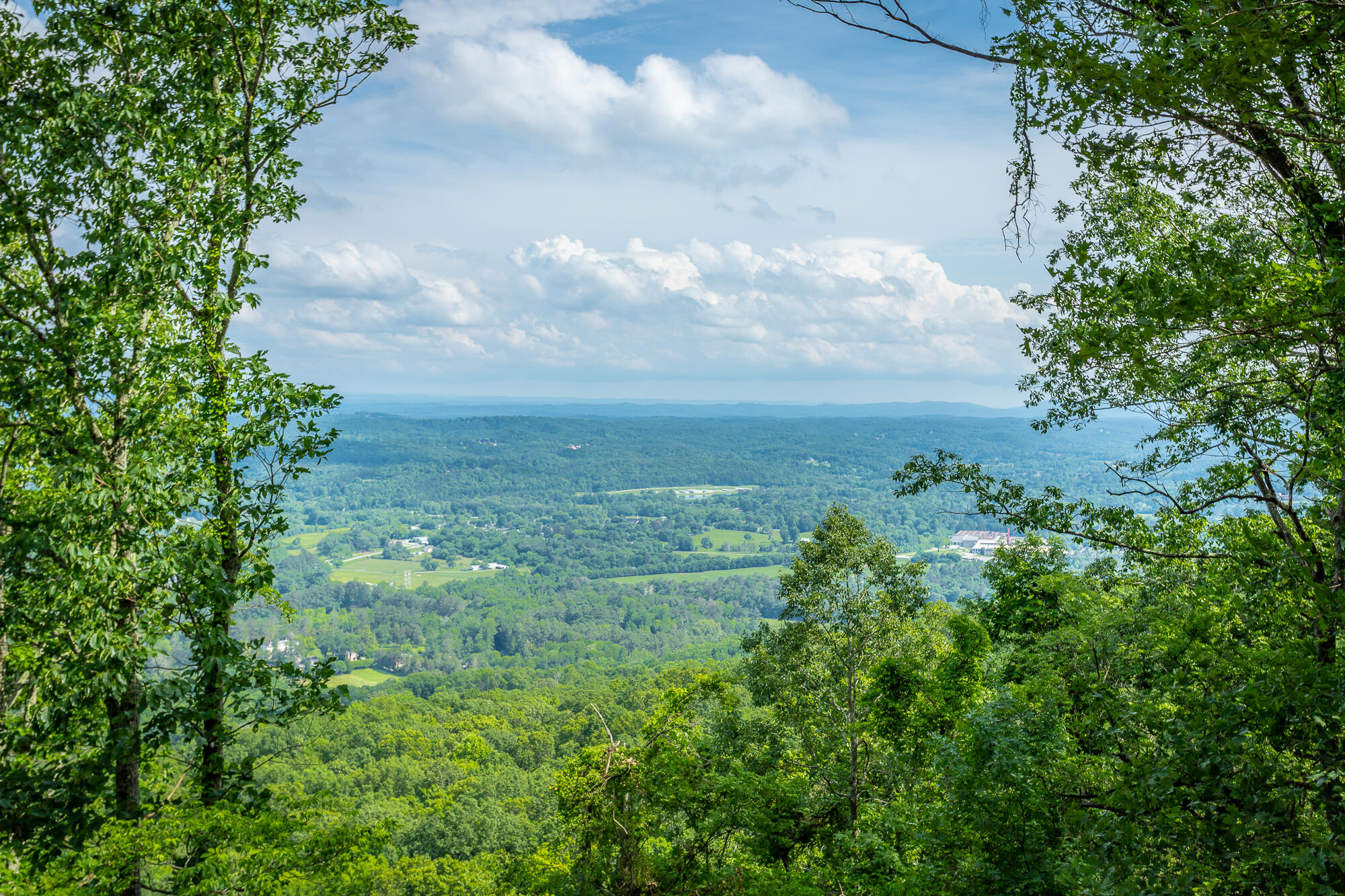 1613 Fairy Dell Trail