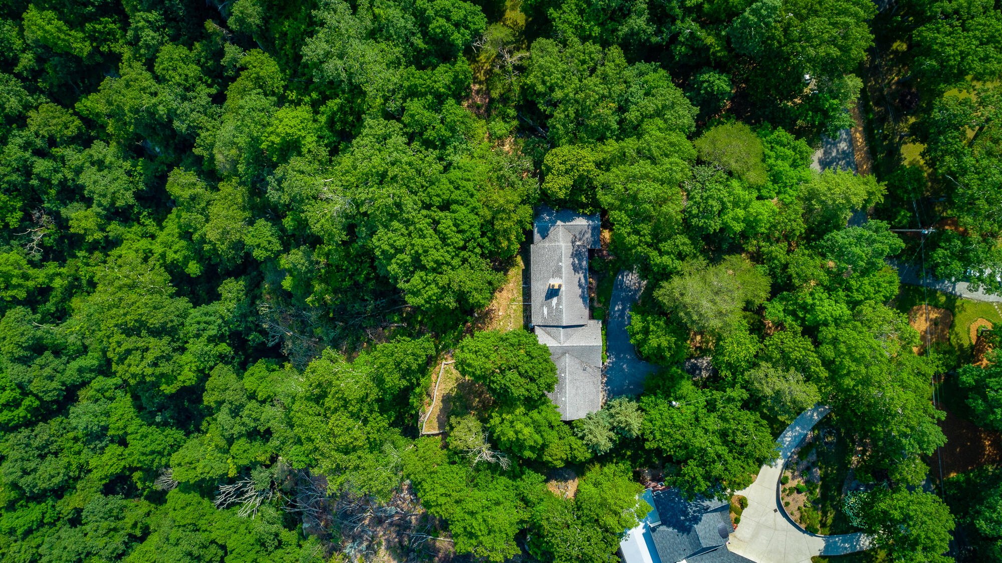 1613 Fairy Dell Trail