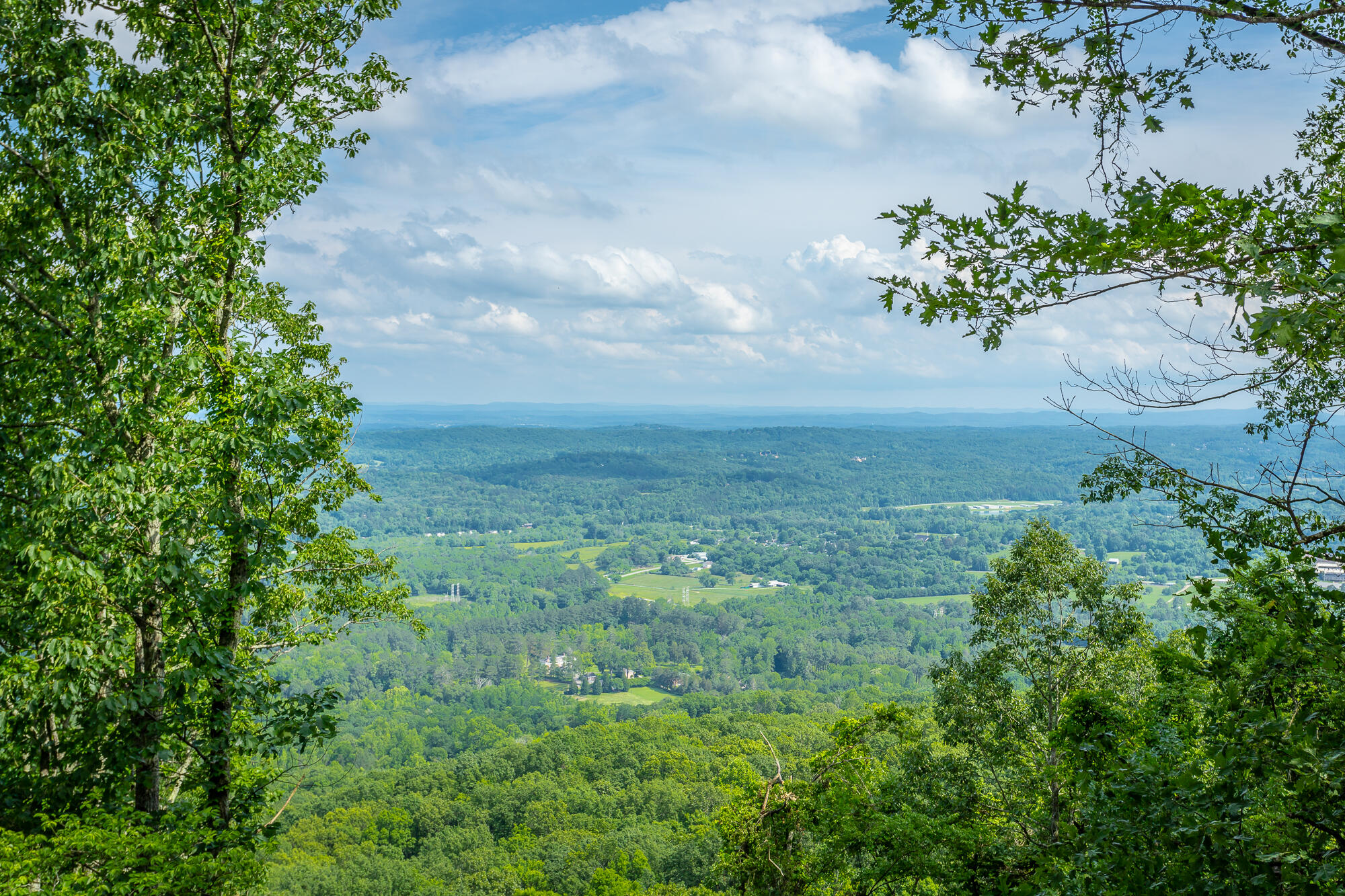 1613 Fairy Dell Trail