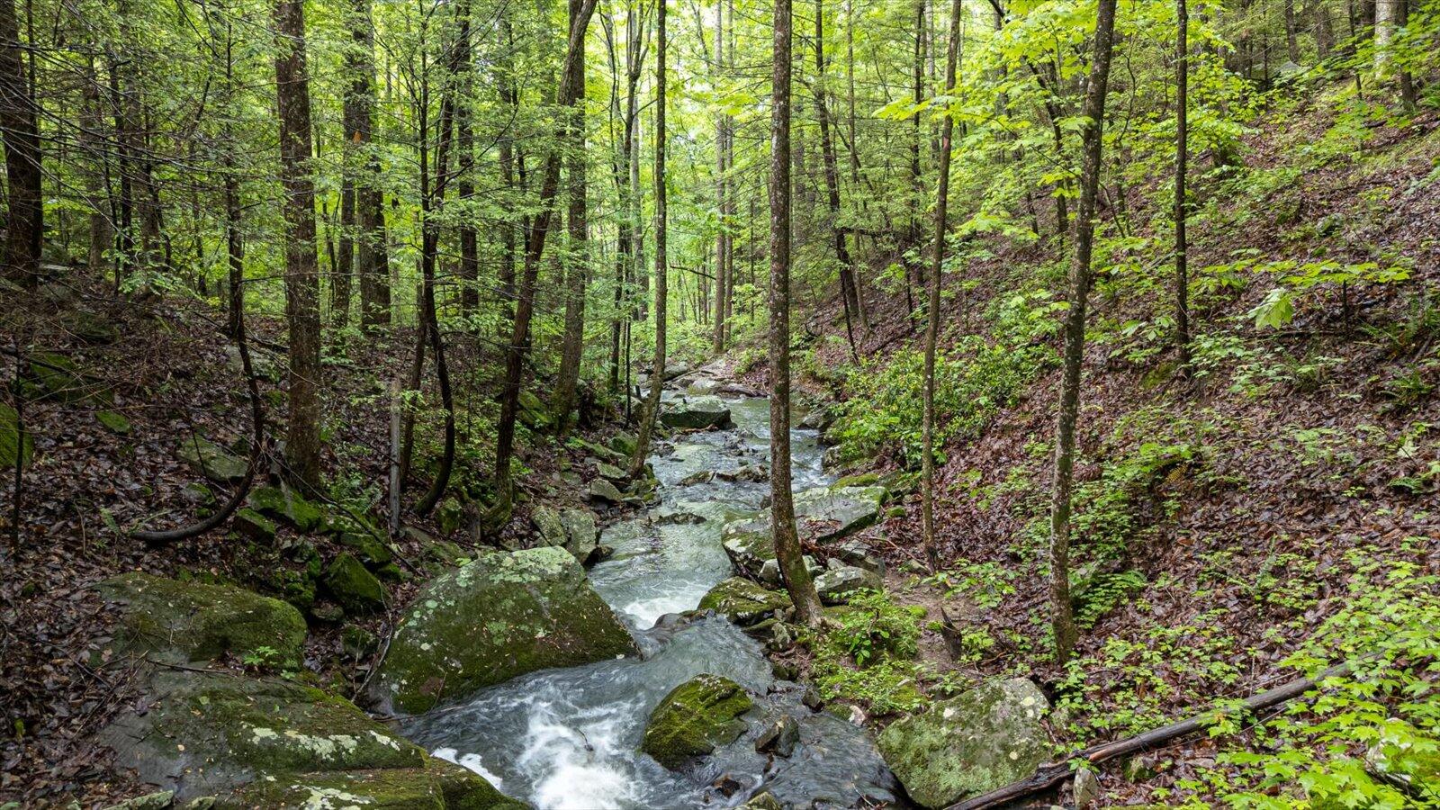 110 Falls Lane