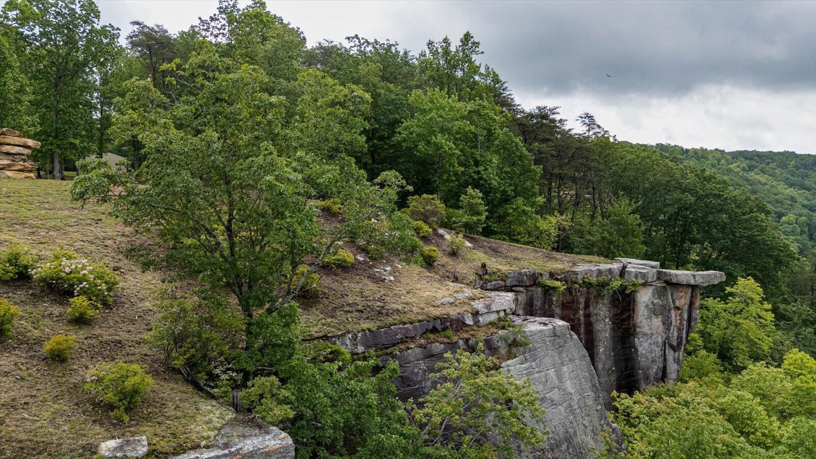 110 Falls Lane
