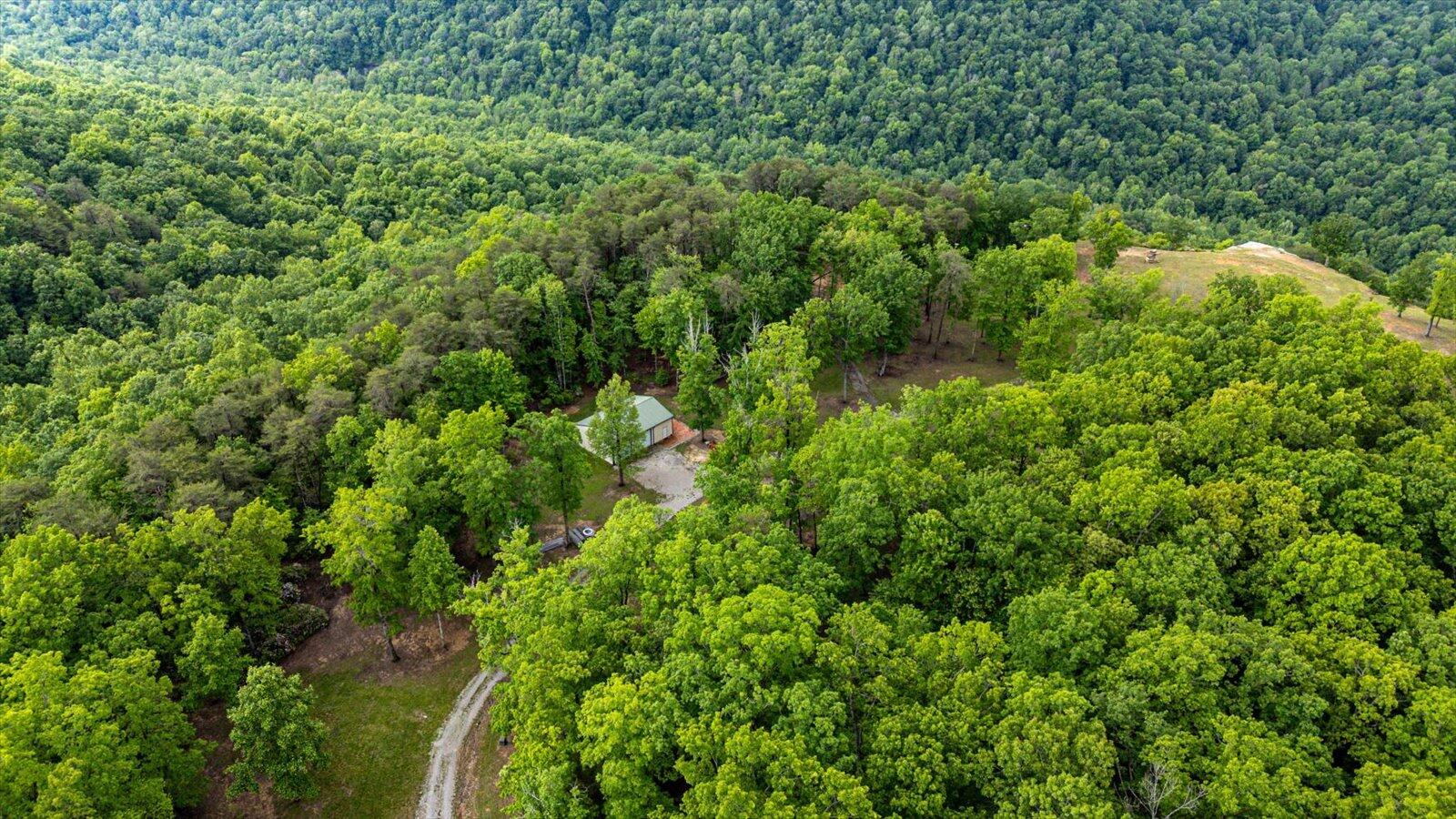 110 Falls Lane