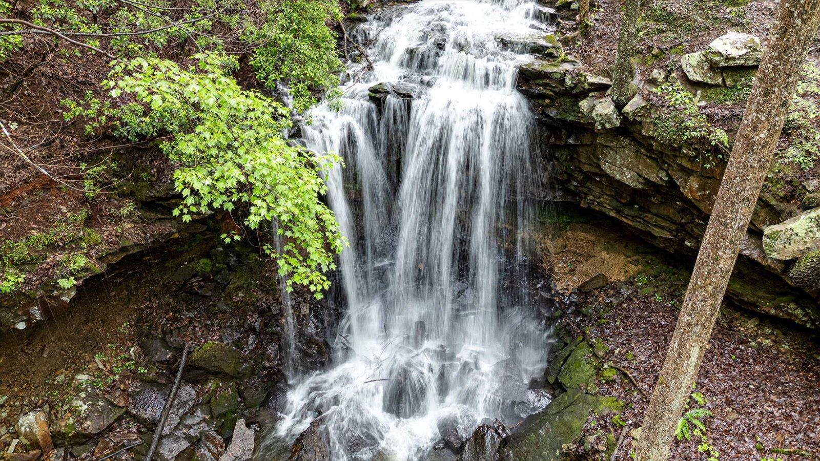 110 Falls Lane