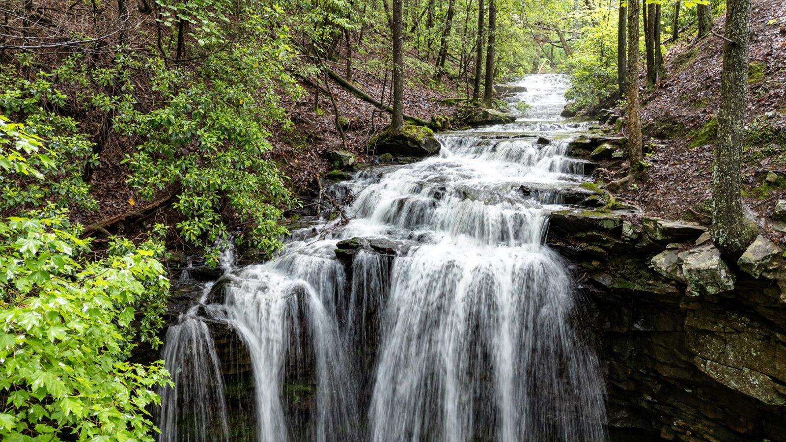 110 Falls Lane