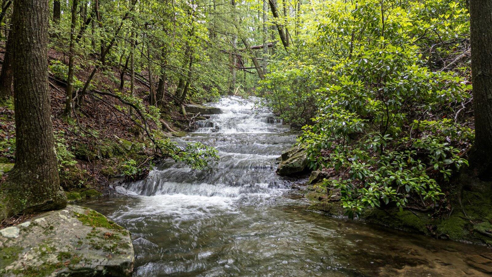 110 Falls Lane