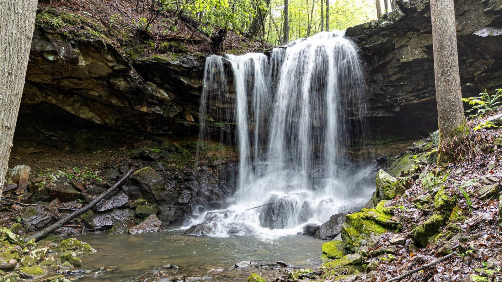 110 Falls Lane