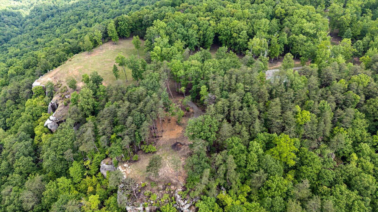 110 Falls Lane