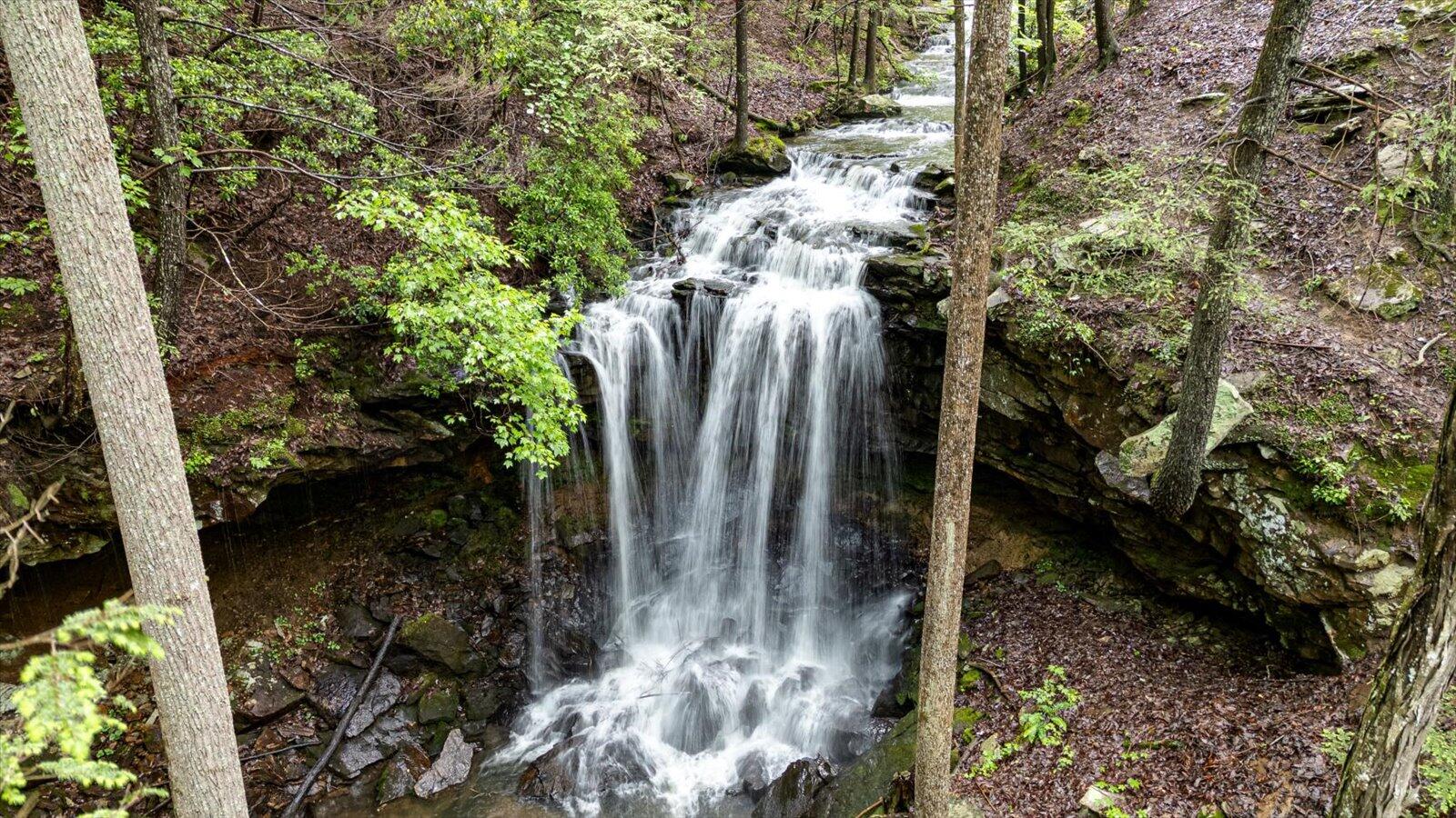 110 Falls Lane