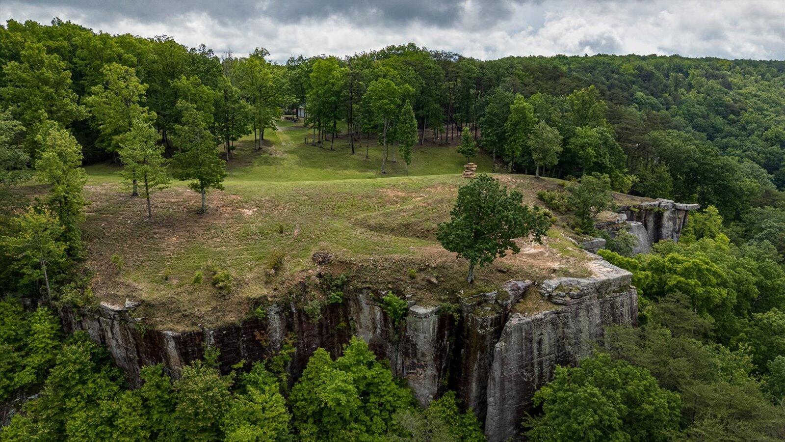 110 Falls Lane