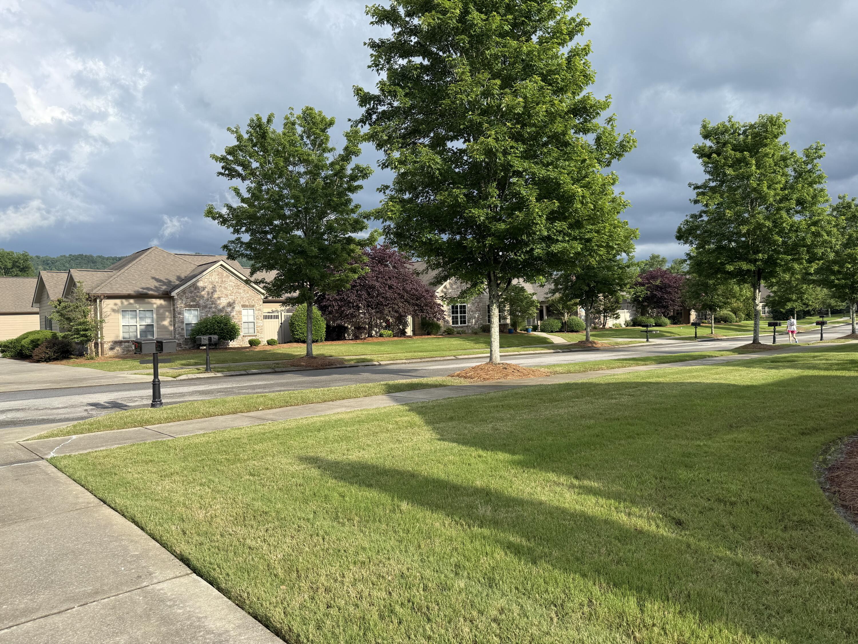 1428 Sedgefield Drive