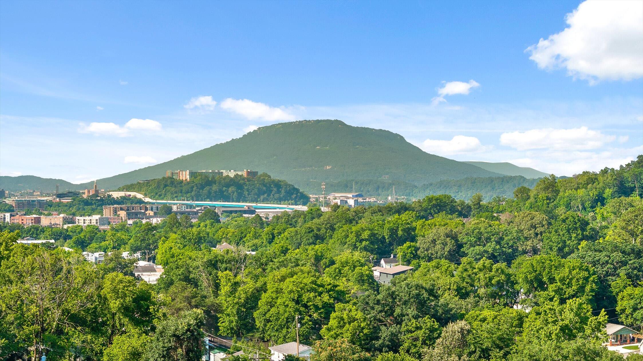 1406 Hamilton Avenue