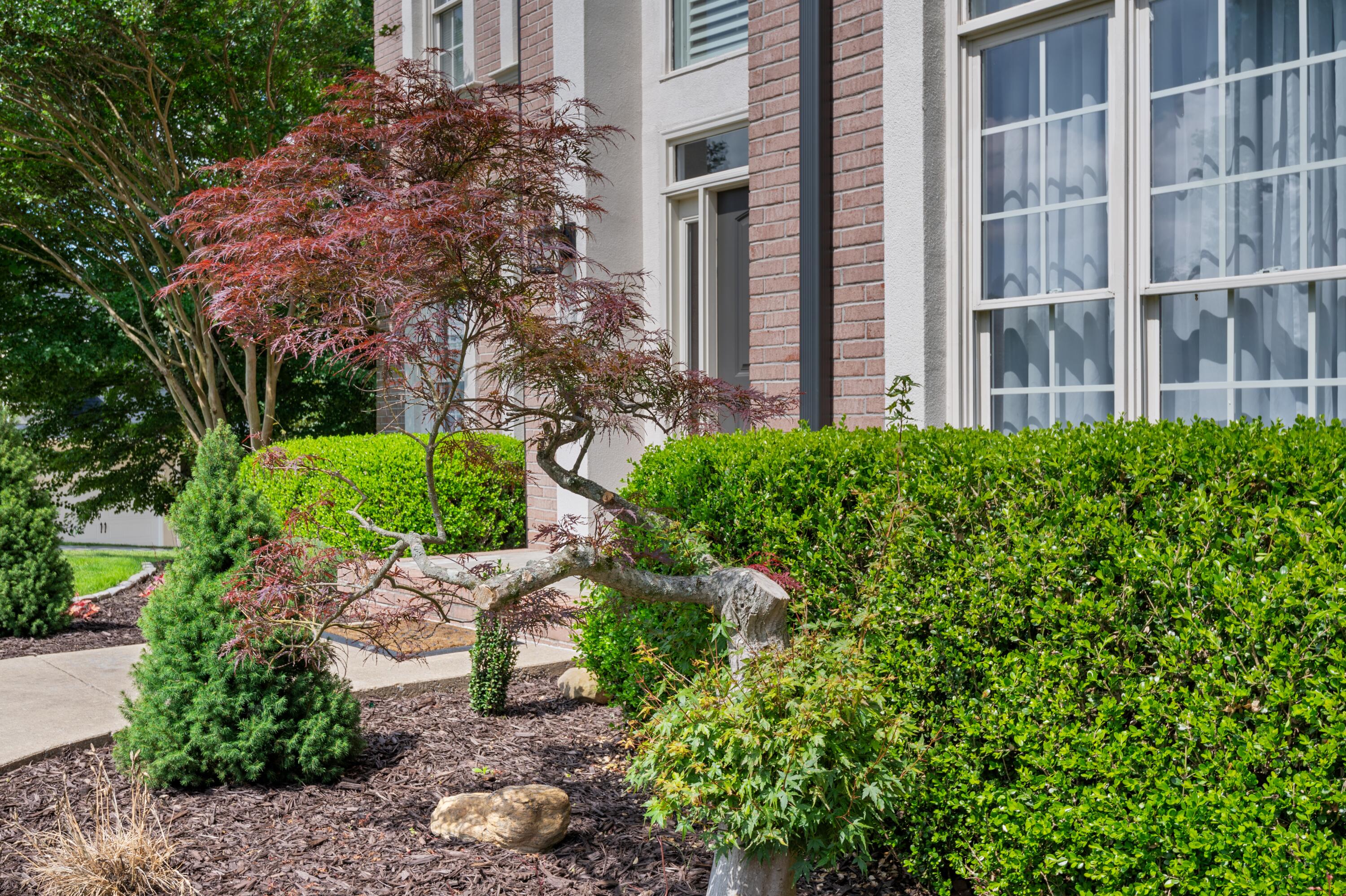 2317 Talking Leaves Drive