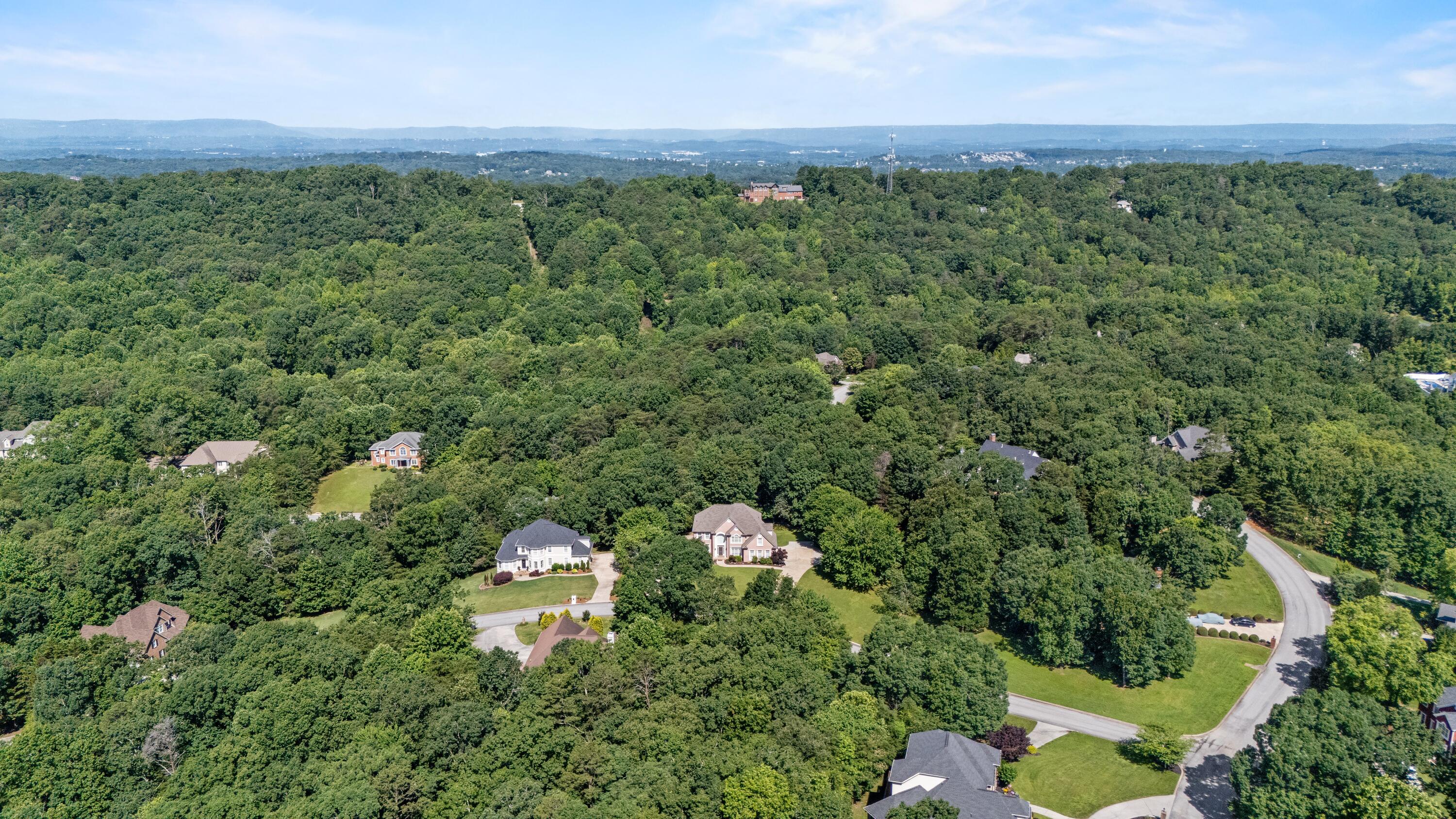 2317 Talking Leaves Drive