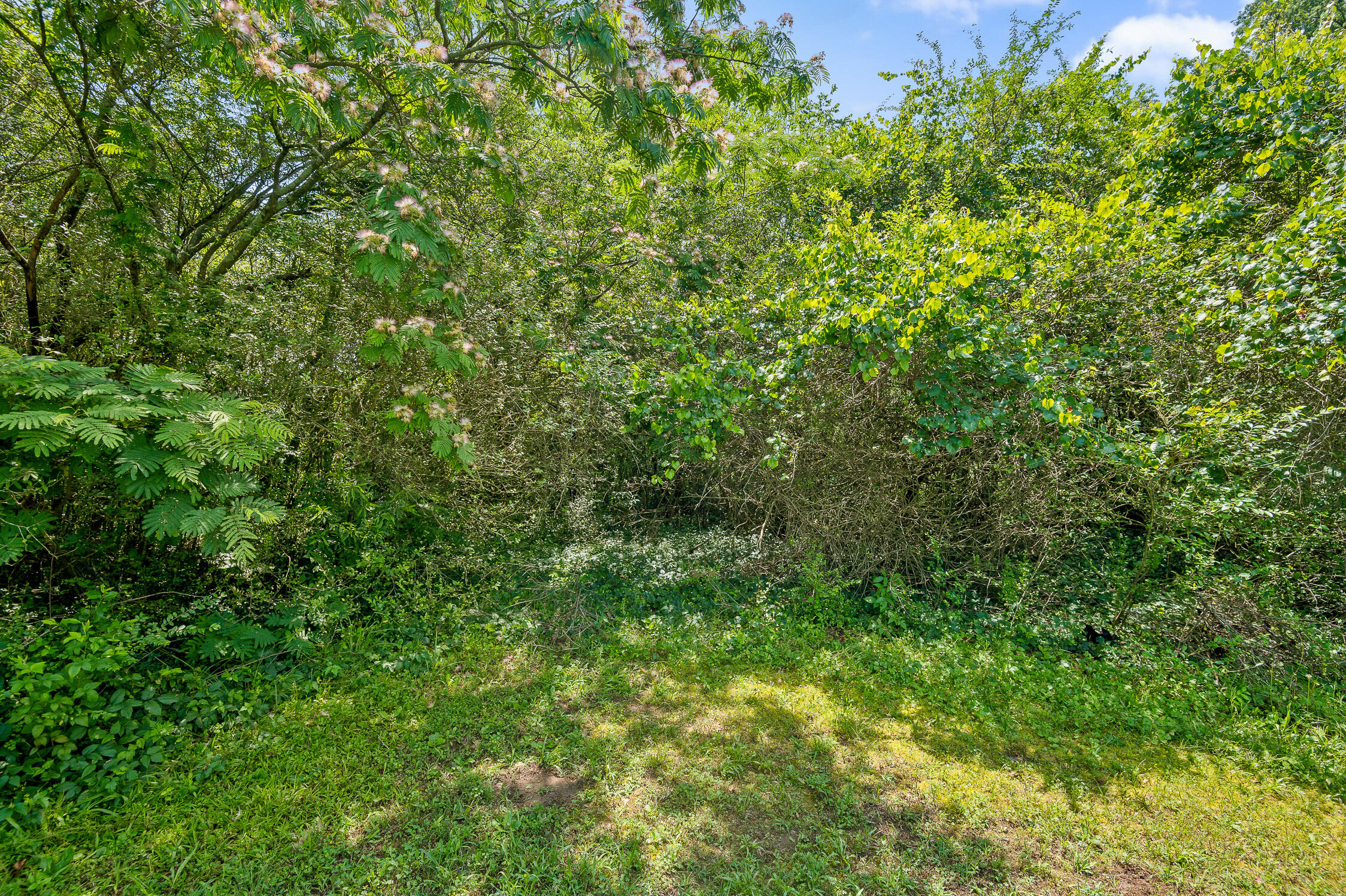 00 Shallowford Road