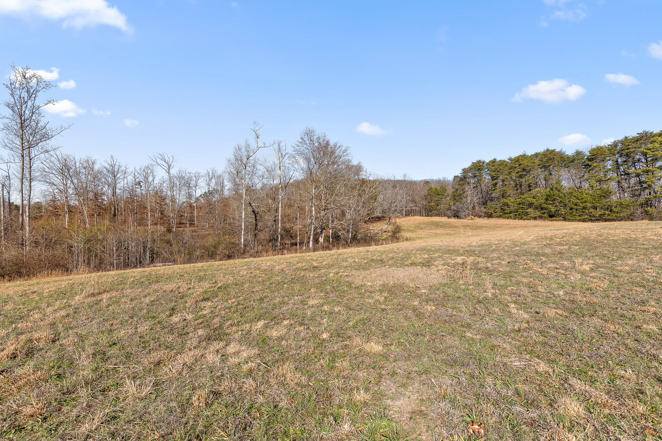0 Blue Sky Drive, Tract 2c