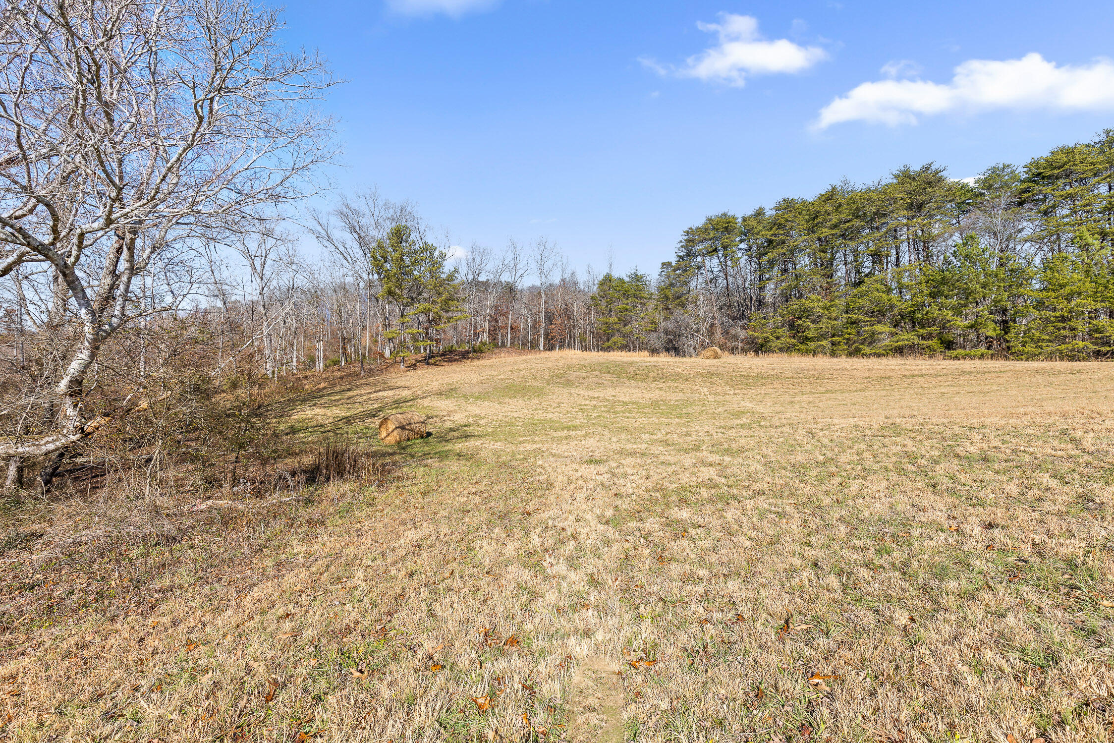 0 Blue Sky Drive, Tract 2c