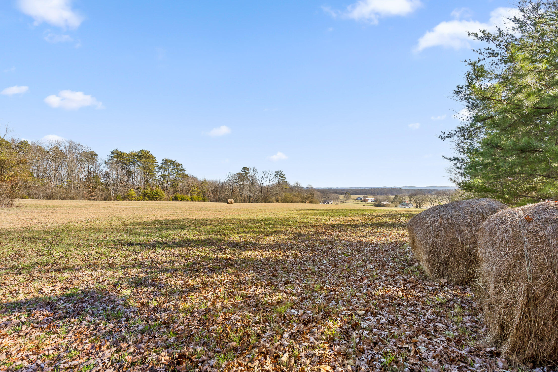 0 Blue Sky Drive, Tract 2c