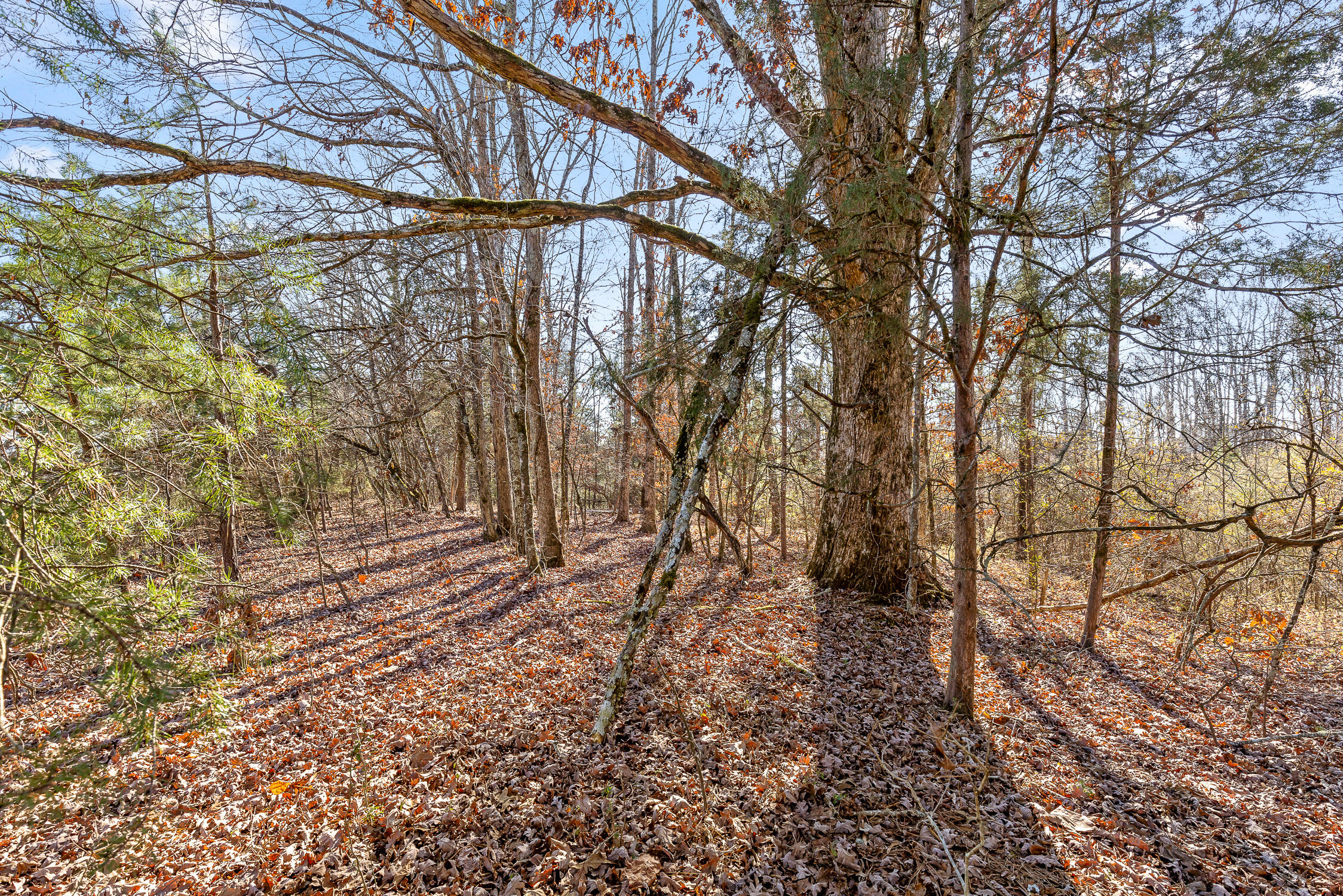 0 Blue Sky Drive, Tract 2c