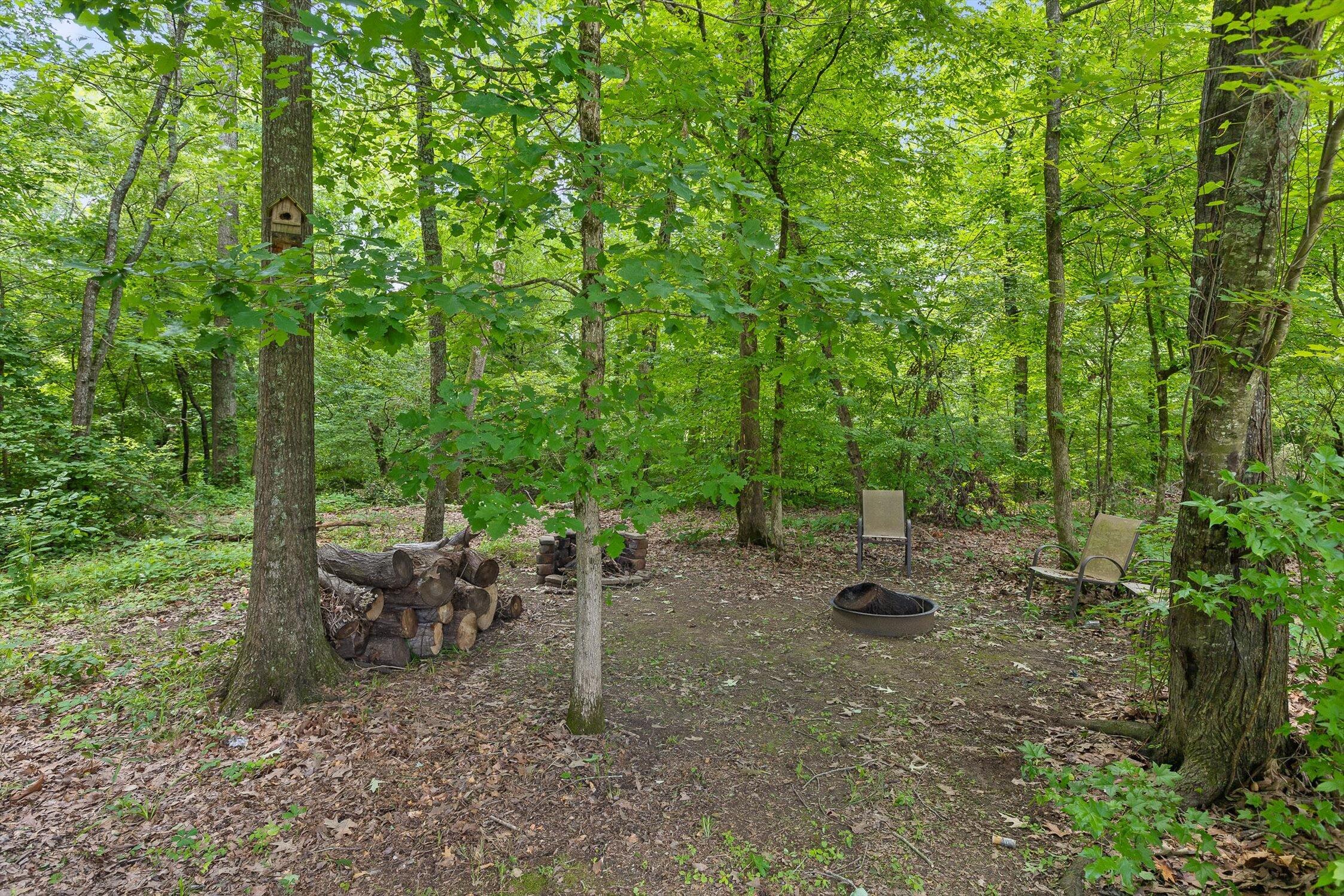 368 Big Creek Lane