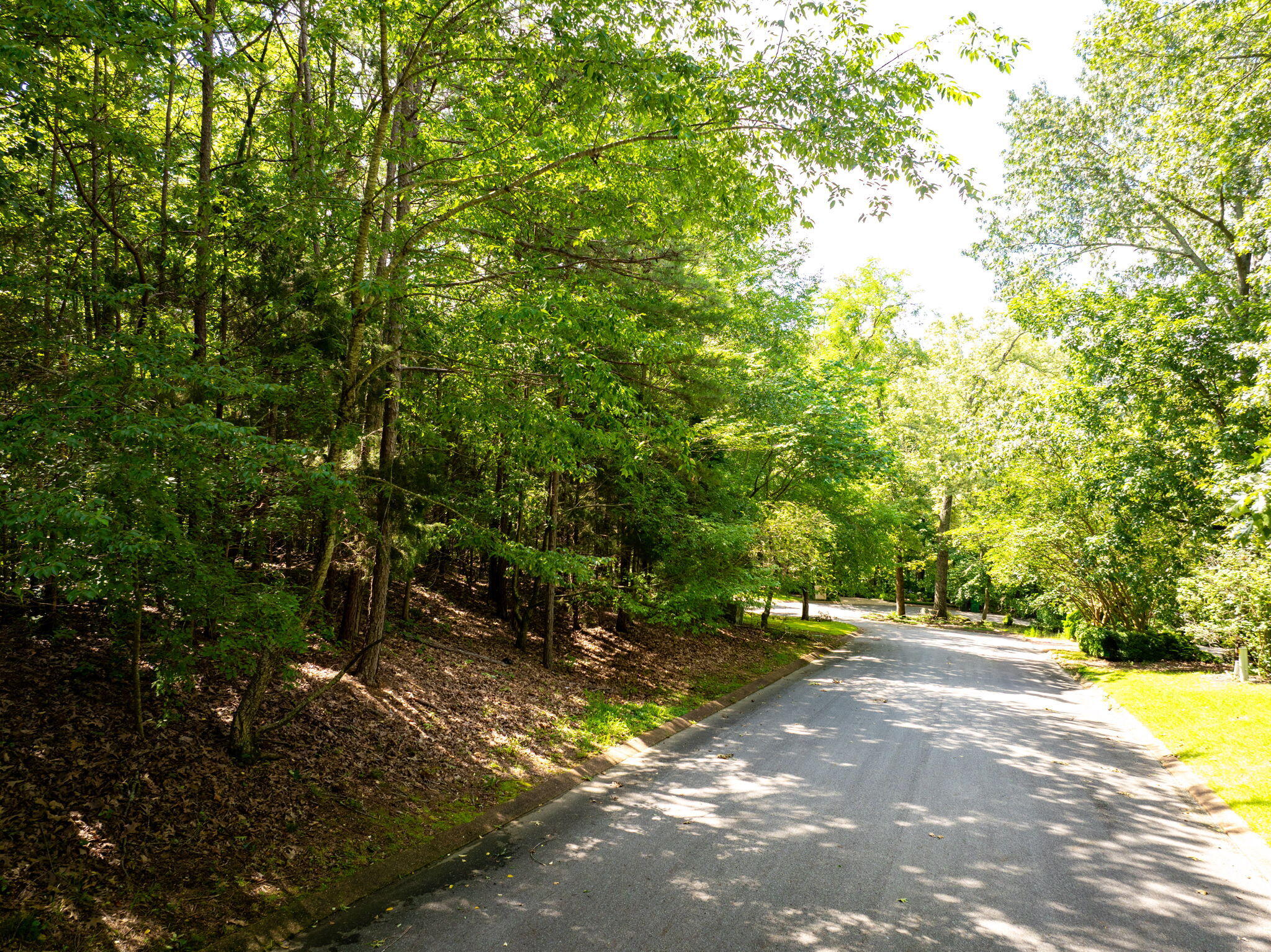 7306 Creek Ridge Drive