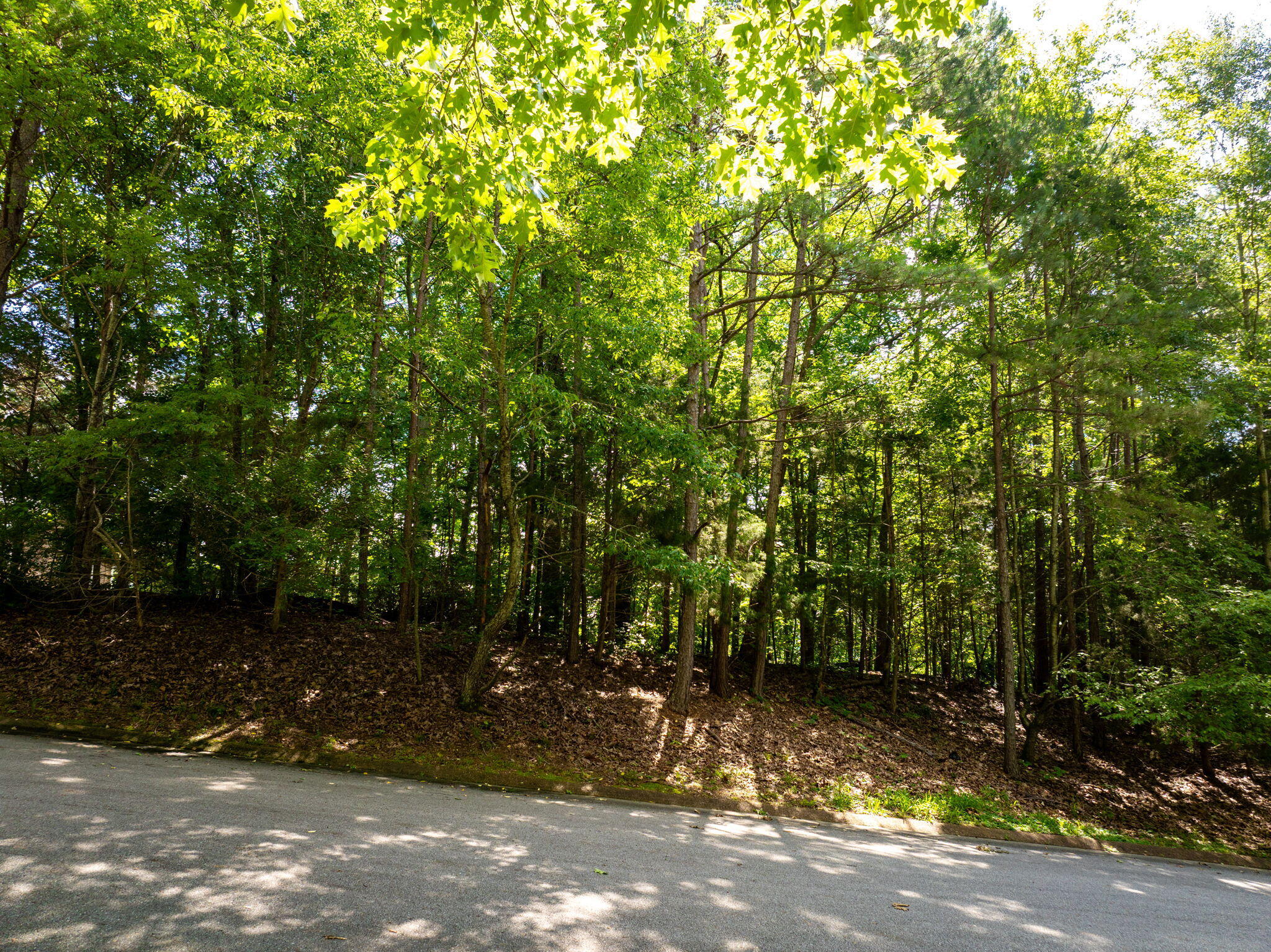 7306 Creek Ridge Drive