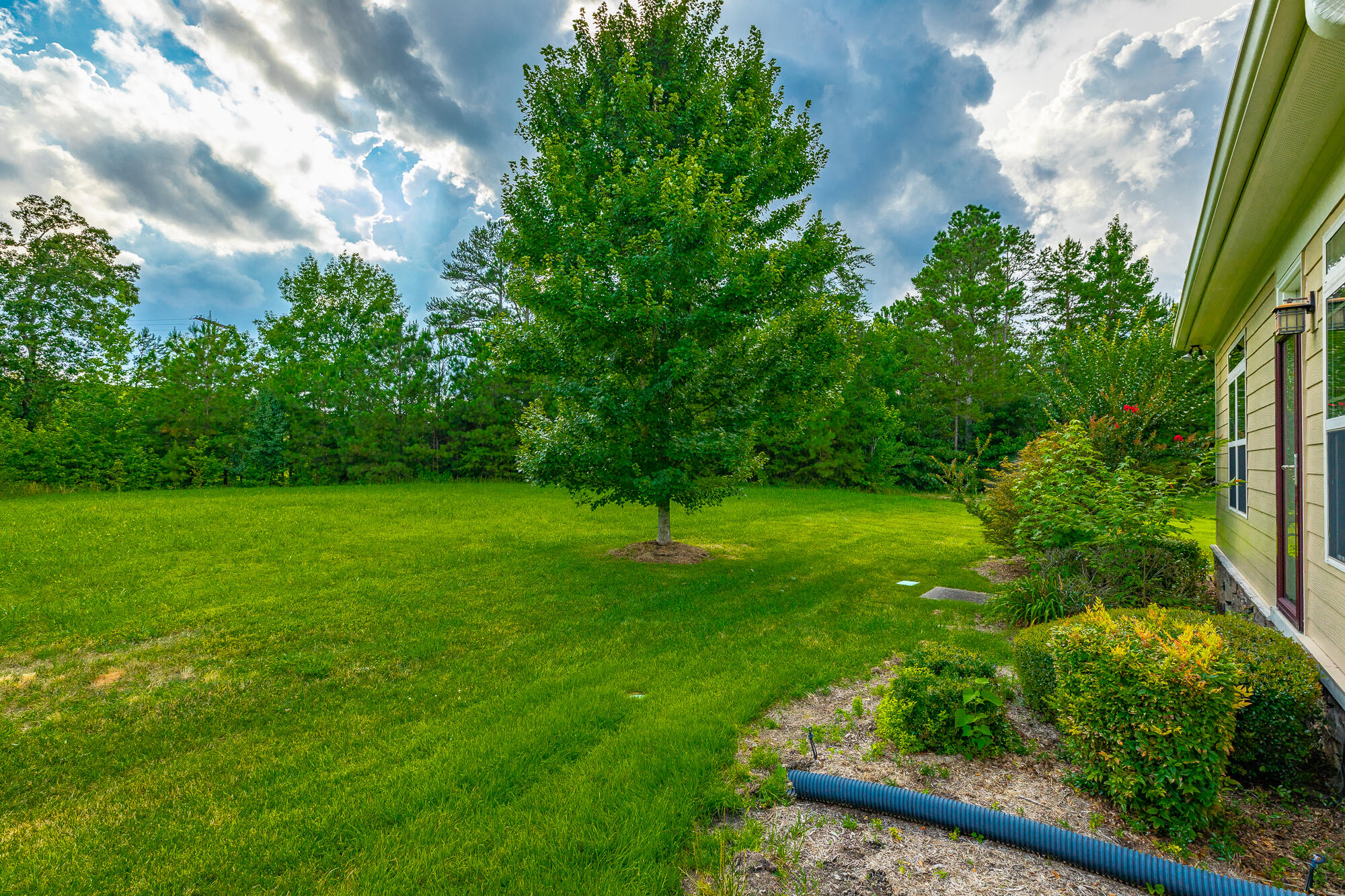 4581 Sweet Berry Lane